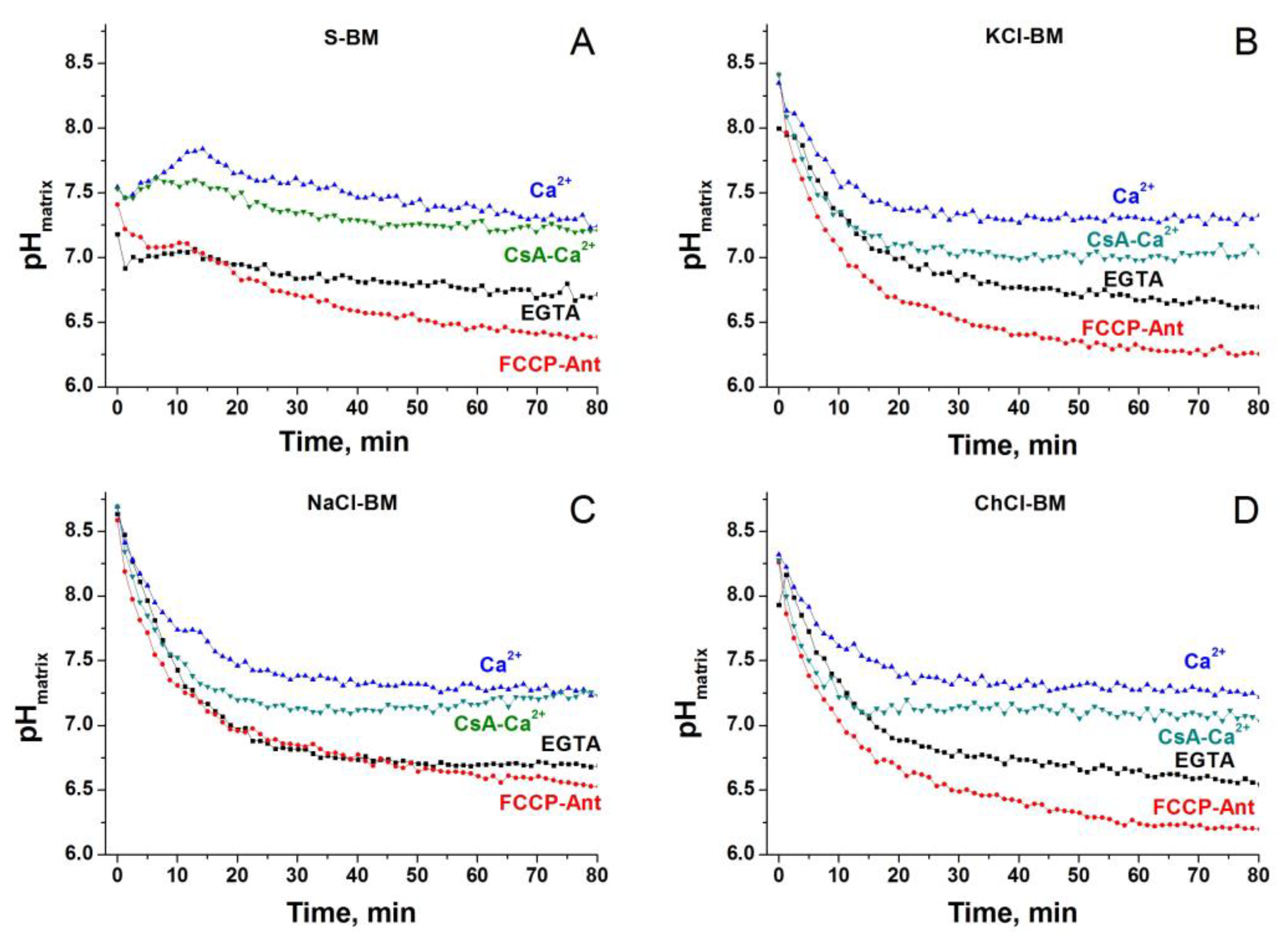 Ijms 24 09237 g012 Ijms 24 09237 g012
