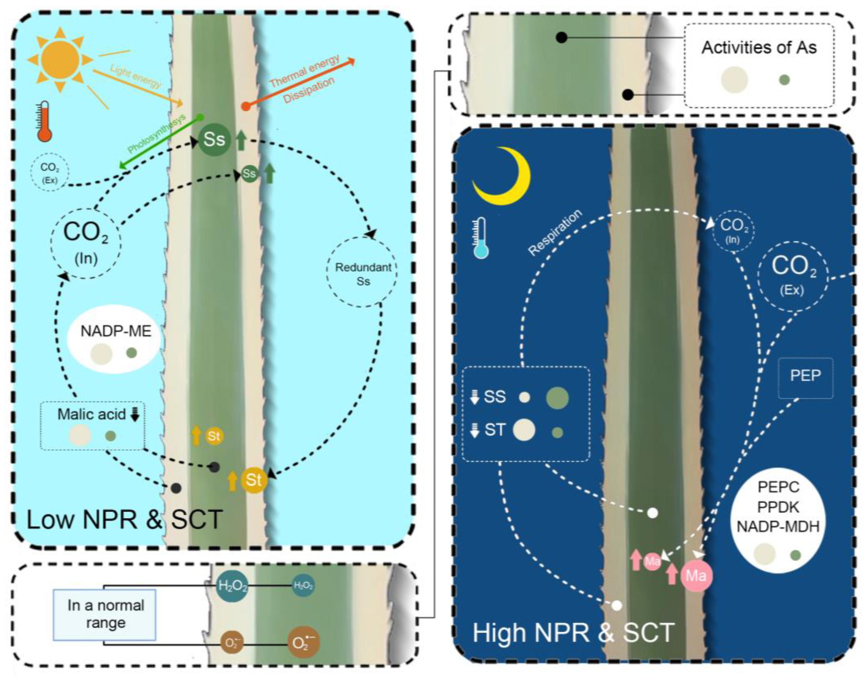 Ijms 24 09238 g005 Ijms 24 09238 g005