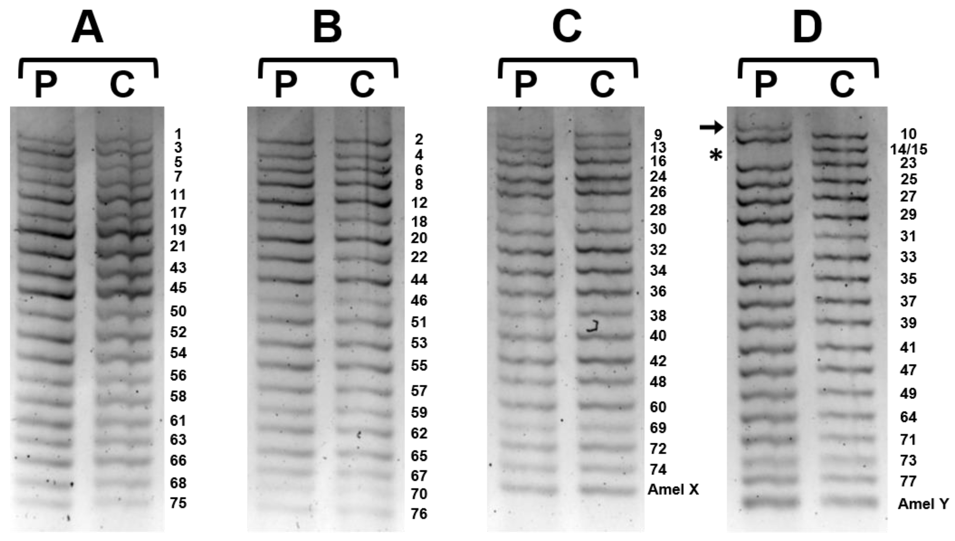 Ijms 24 09241 g002 Ijms 24 09241 g002