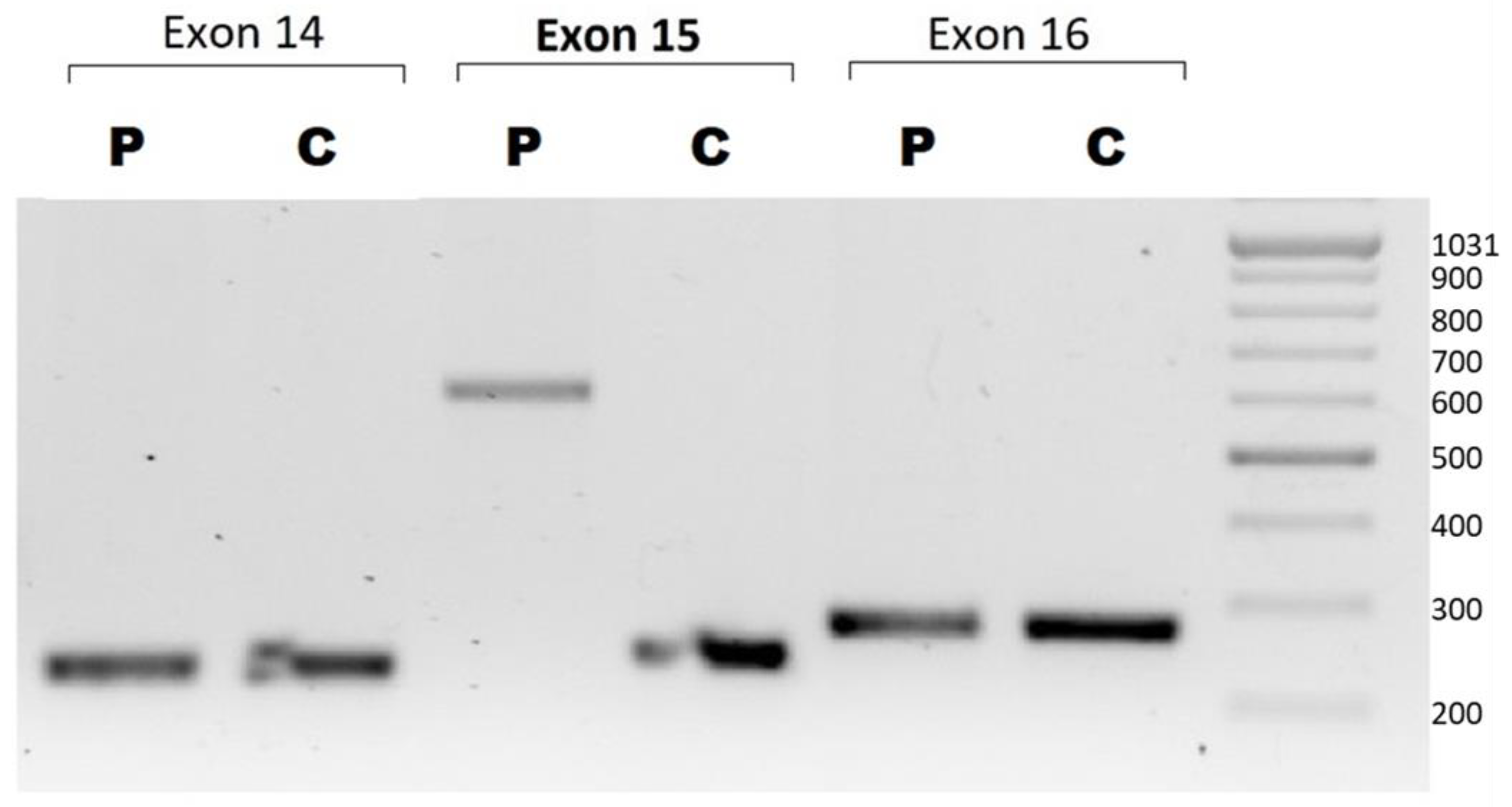 Ijms 24 09241 g003 Ijms 24 09241 g003