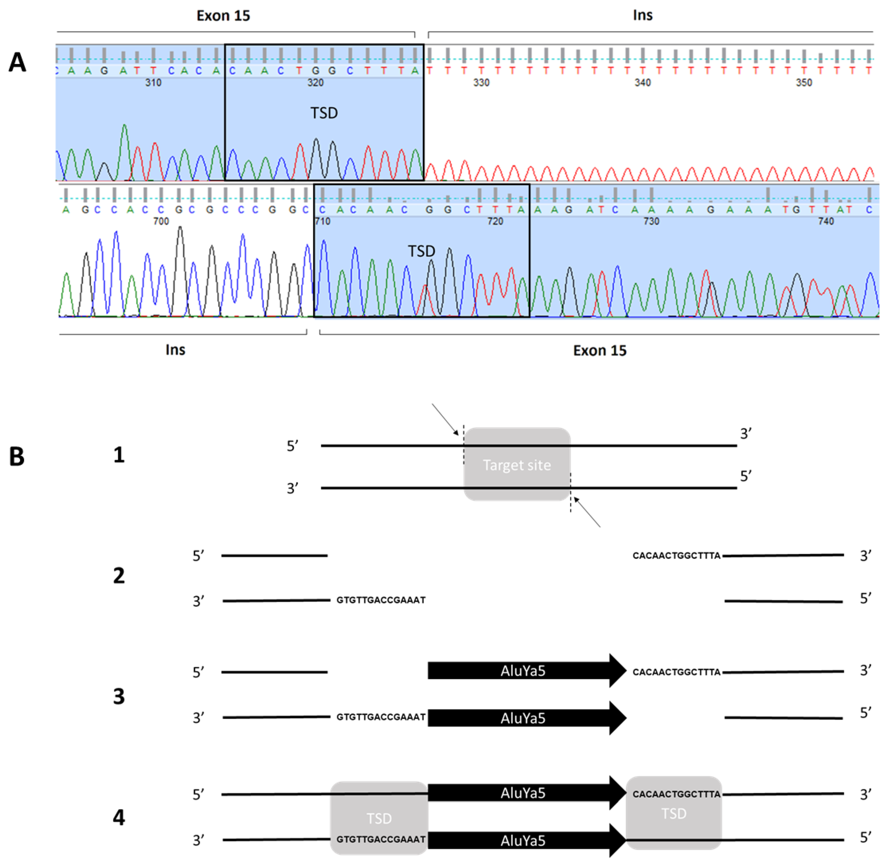 Ijms 24 09241 g004 Ijms 24 09241 g004