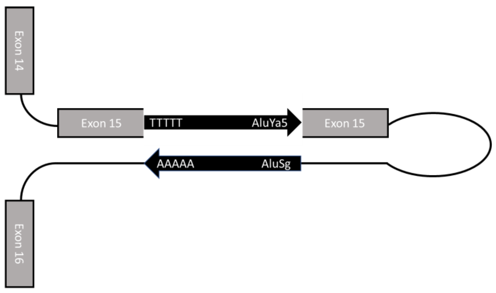 Ijms 24 09241 g006 Ijms 24 09241 g006