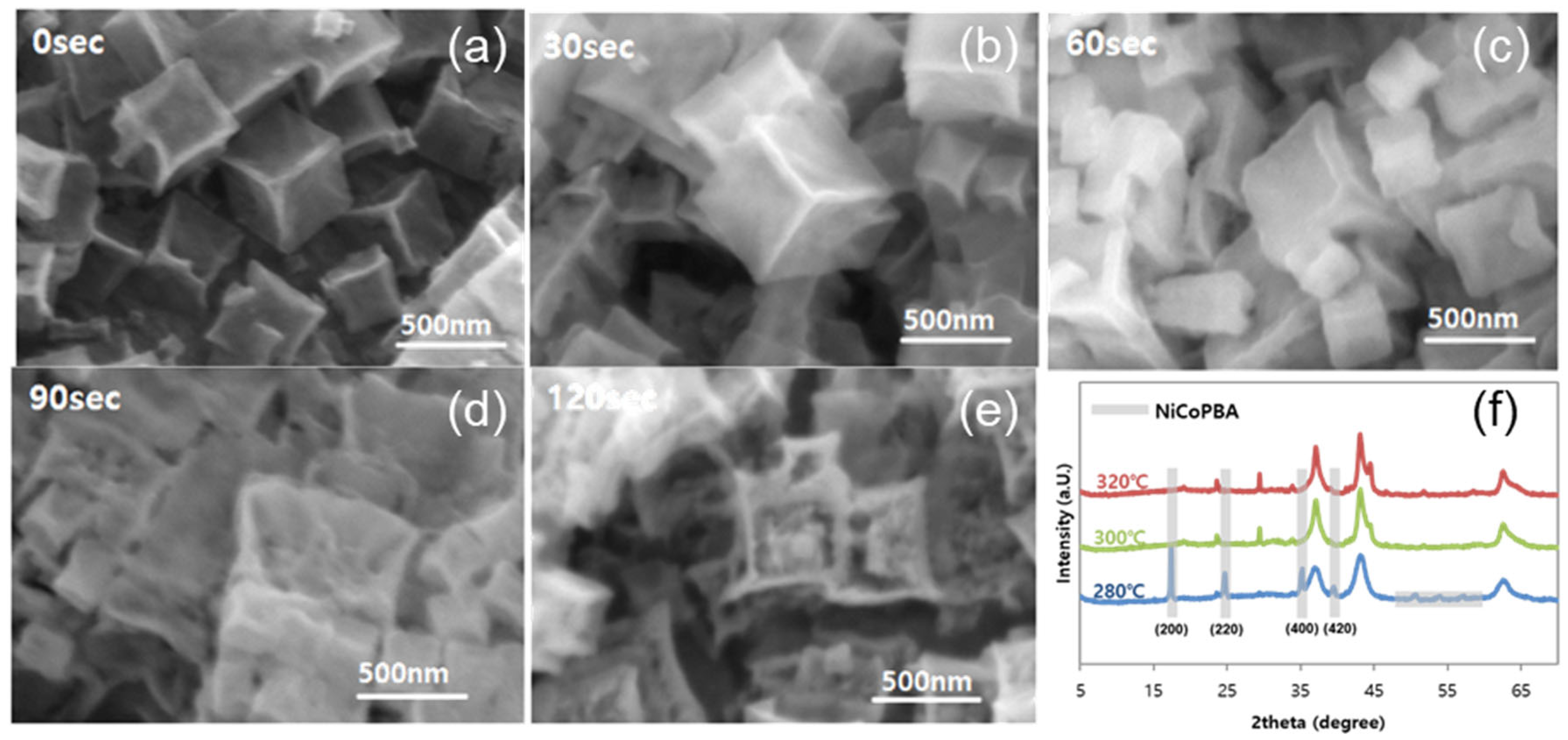 Ijms 24 09246 g002 Ijms 24 09246 g002