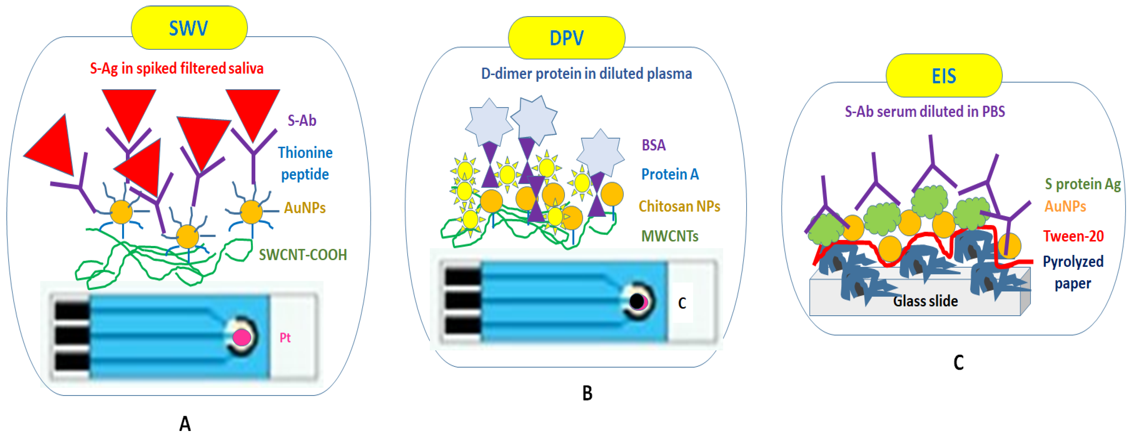 Ijms 24 09249 g003 Ijms 24 09249 g003