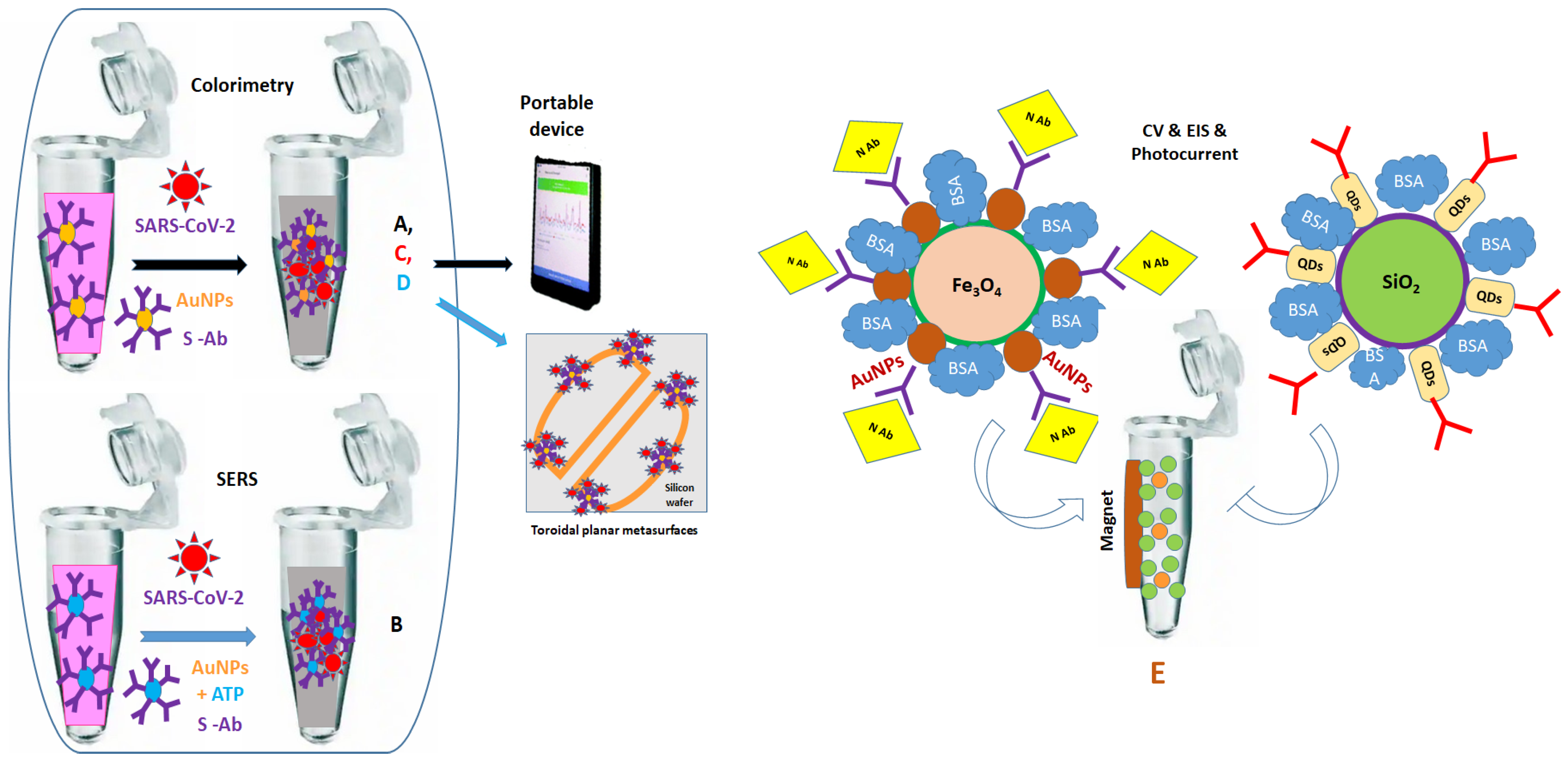 Ijms 24 09249 g004 Ijms 24 09249 g004