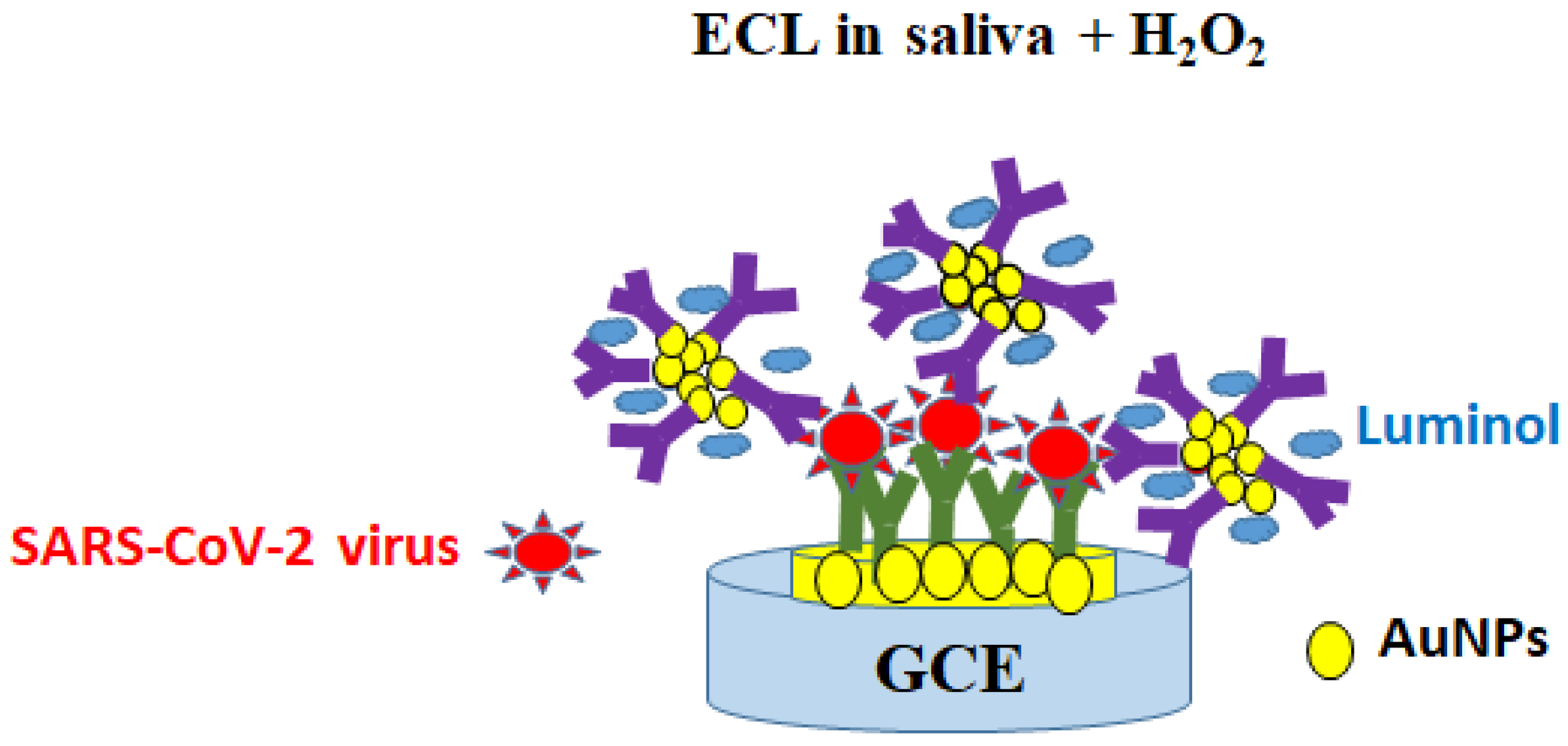 Ijms 24 09249 g005 Ijms 24 09249 g005