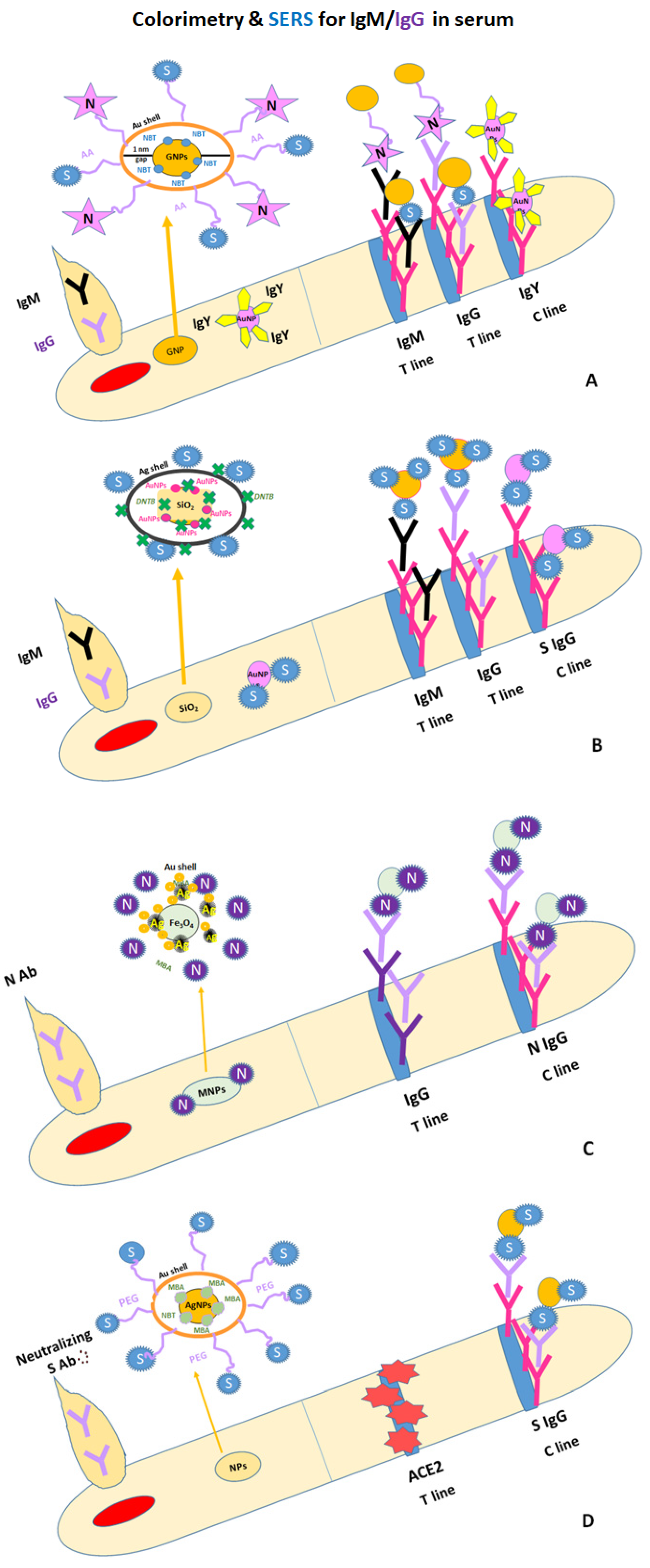 Ijms 24 09249 g007 Ijms 24 09249 g007