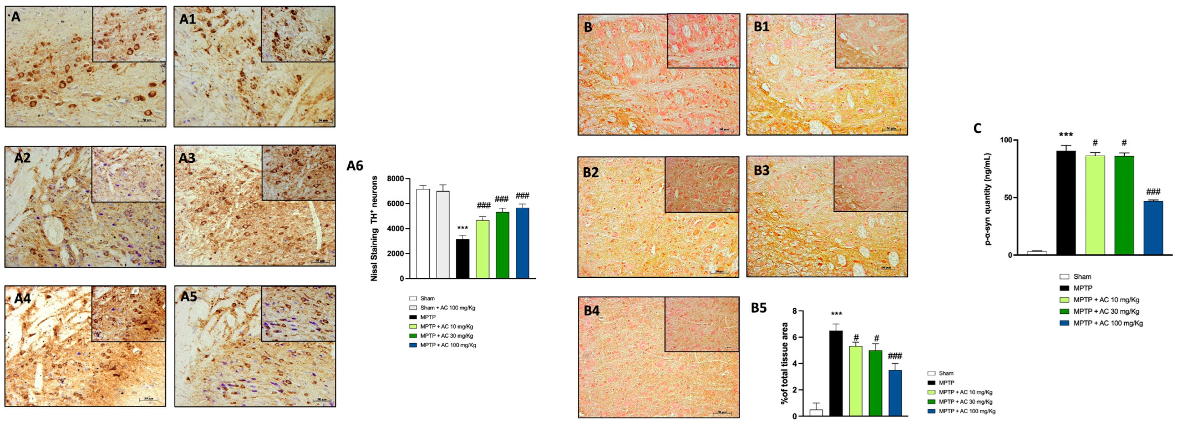 Ijms 24 09250 g001 Ijms 24 09250 g001