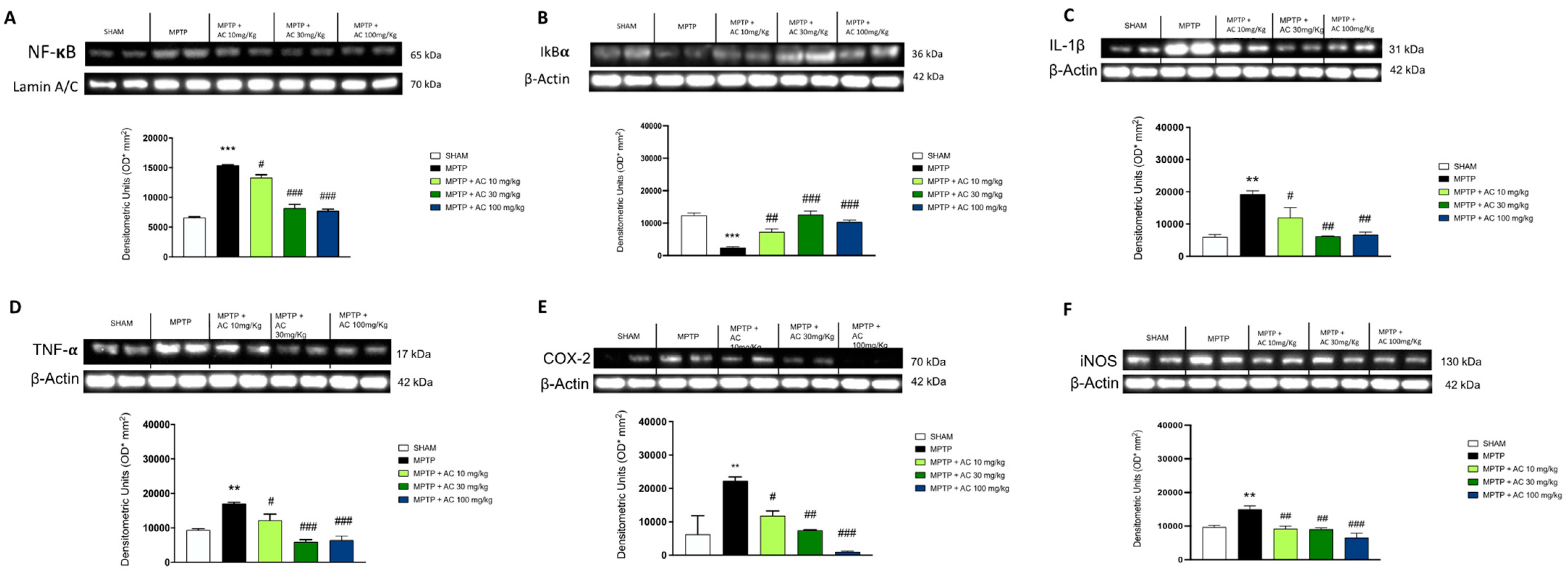 Ijms 24 09250 g004 Ijms 24 09250 g004