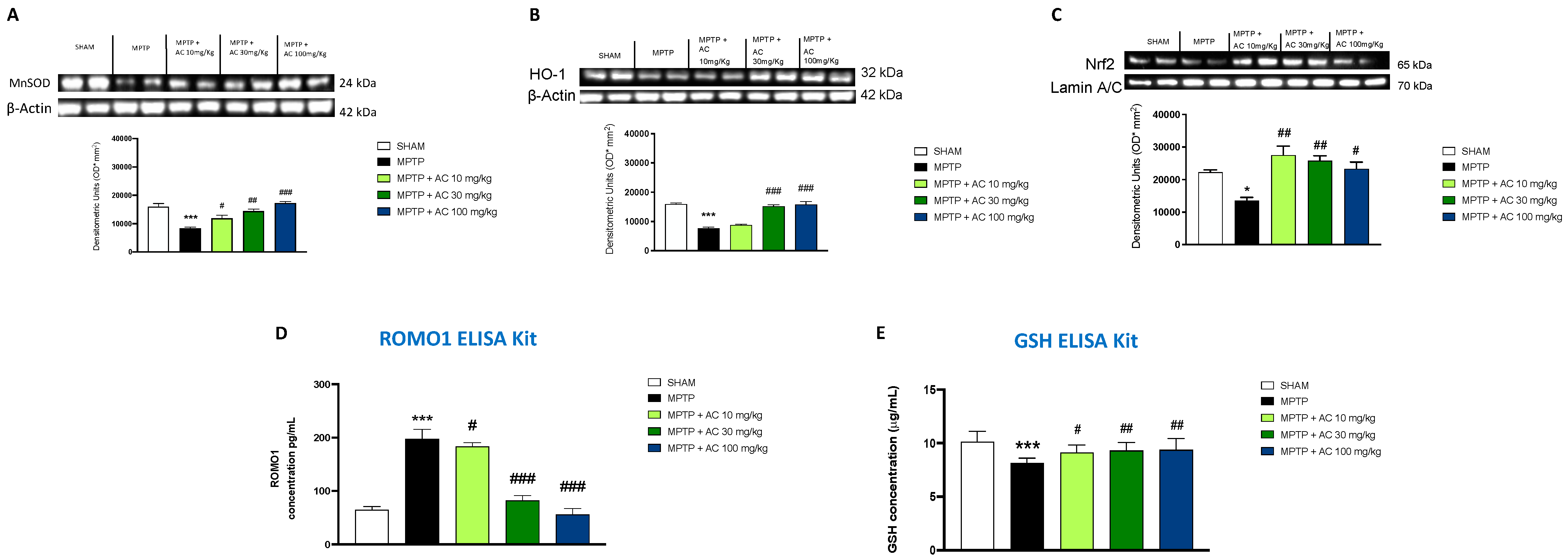Ijms 24 09250 g005 Ijms 24 09250 g005