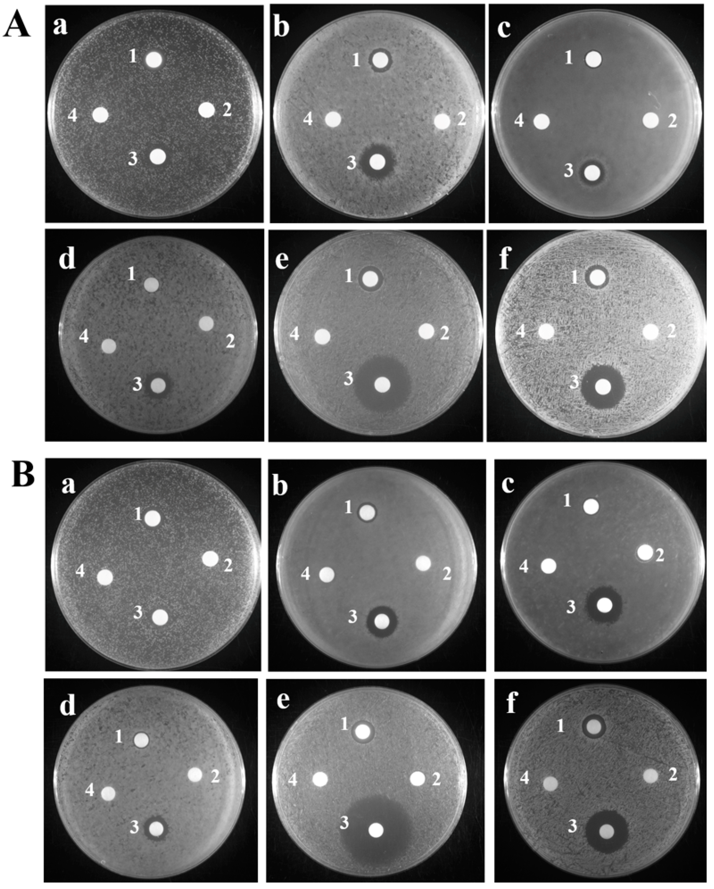 Ijms 24 09251 g001 Ijms 24 09251 g001