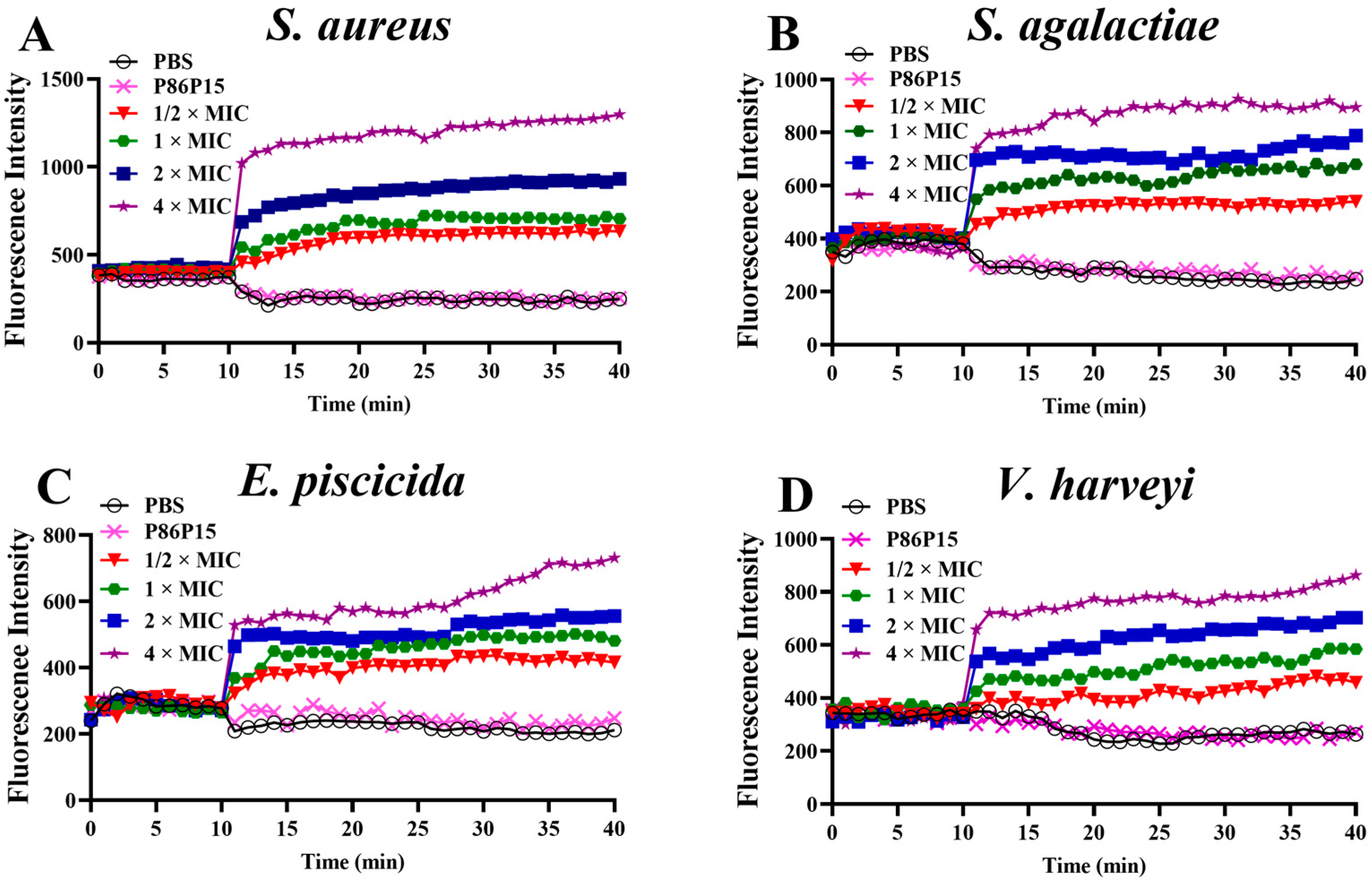 Ijms 24 09251 g003 Ijms 24 09251 g003