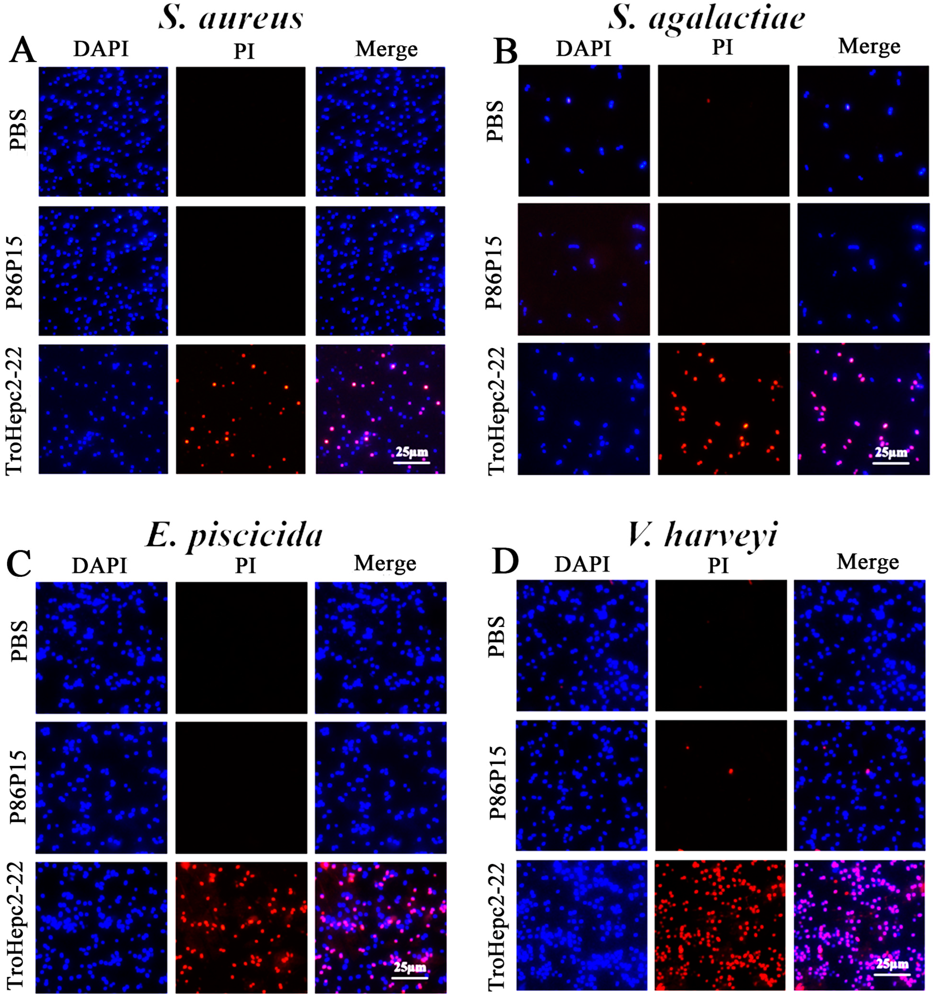 Ijms 24 09251 g004 Ijms 24 09251 g004