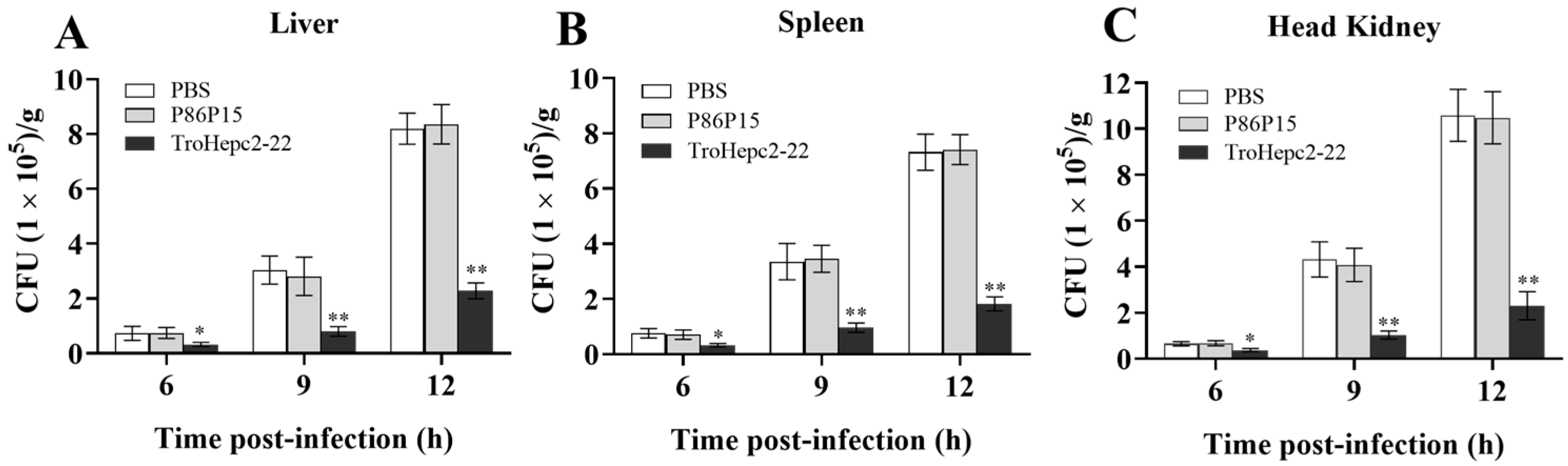 Ijms 24 09251 g007 Ijms 24 09251 g007