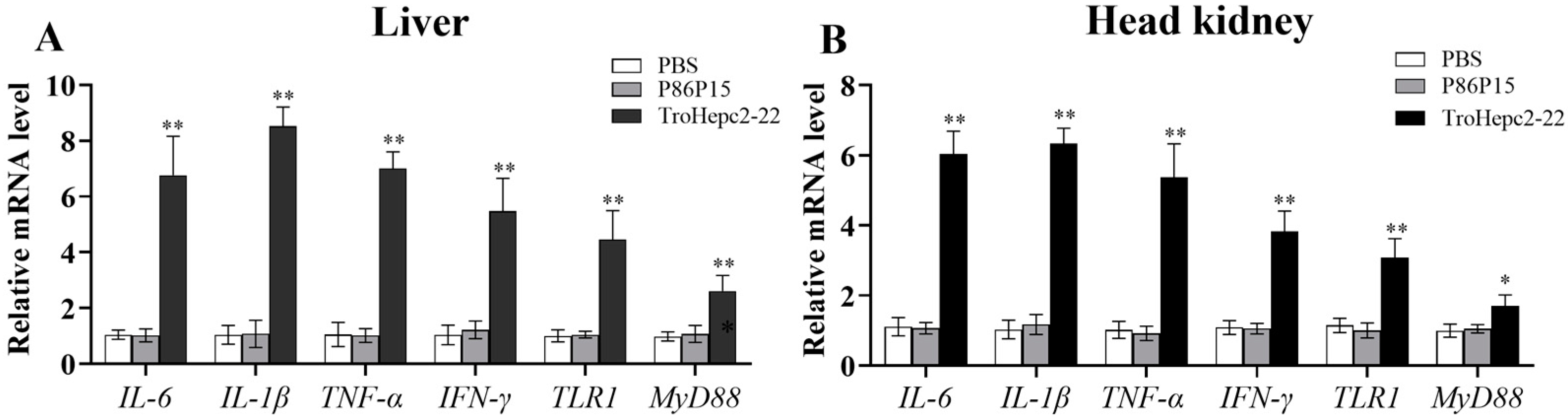 Ijms 24 09251 g008 Ijms 24 09251 g008