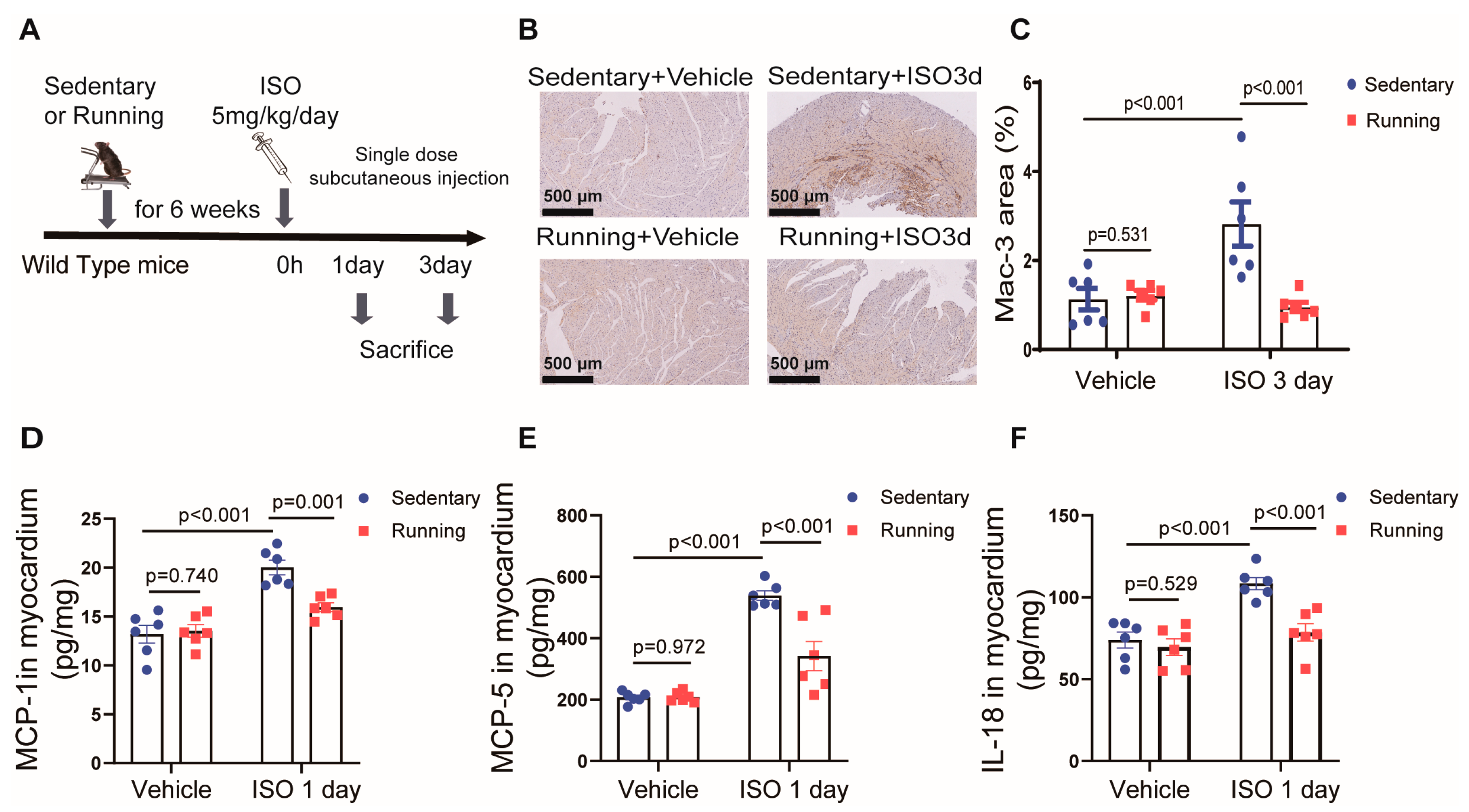 Ijms 24 09263 g001 Ijms 24 09263 g001