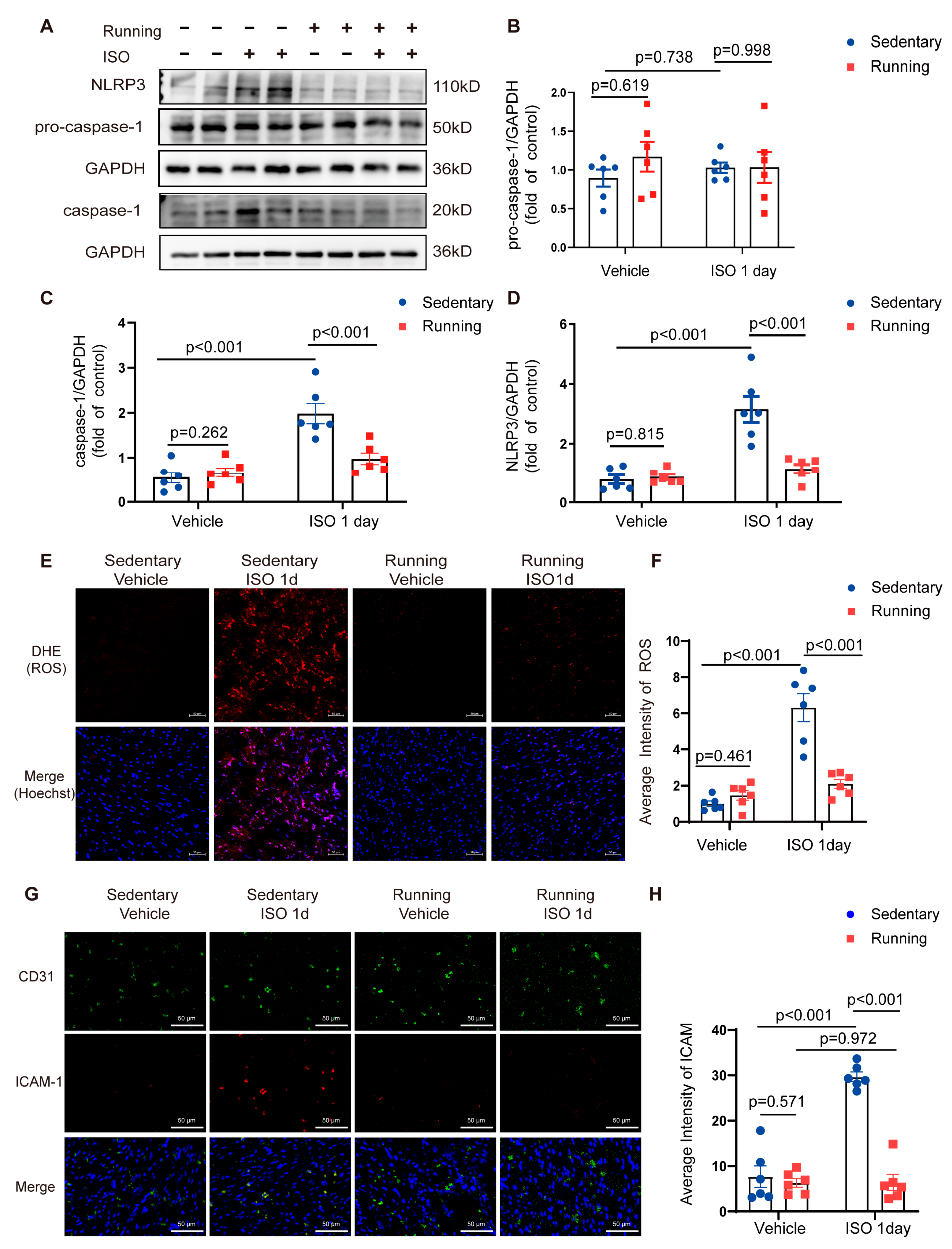 Ijms 24 09263 g002 Ijms 24 09263 g002