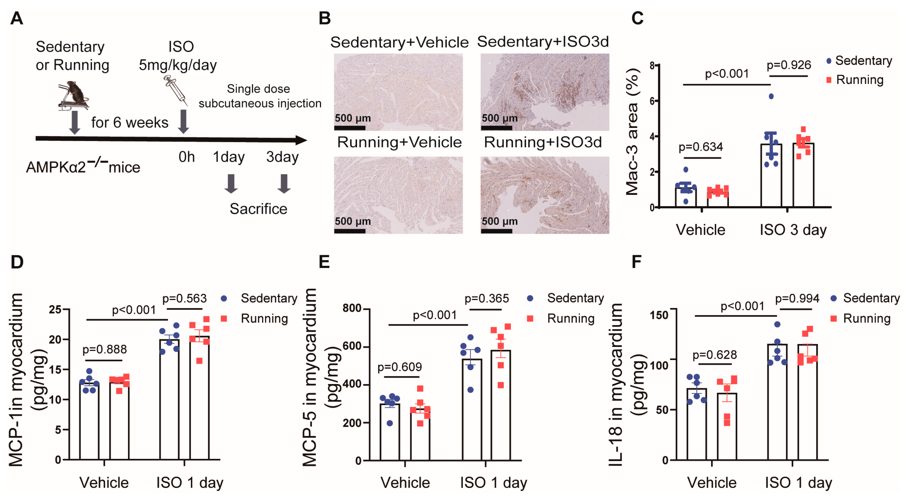 Ijms 24 09263 g004 Ijms 24 09263 g004