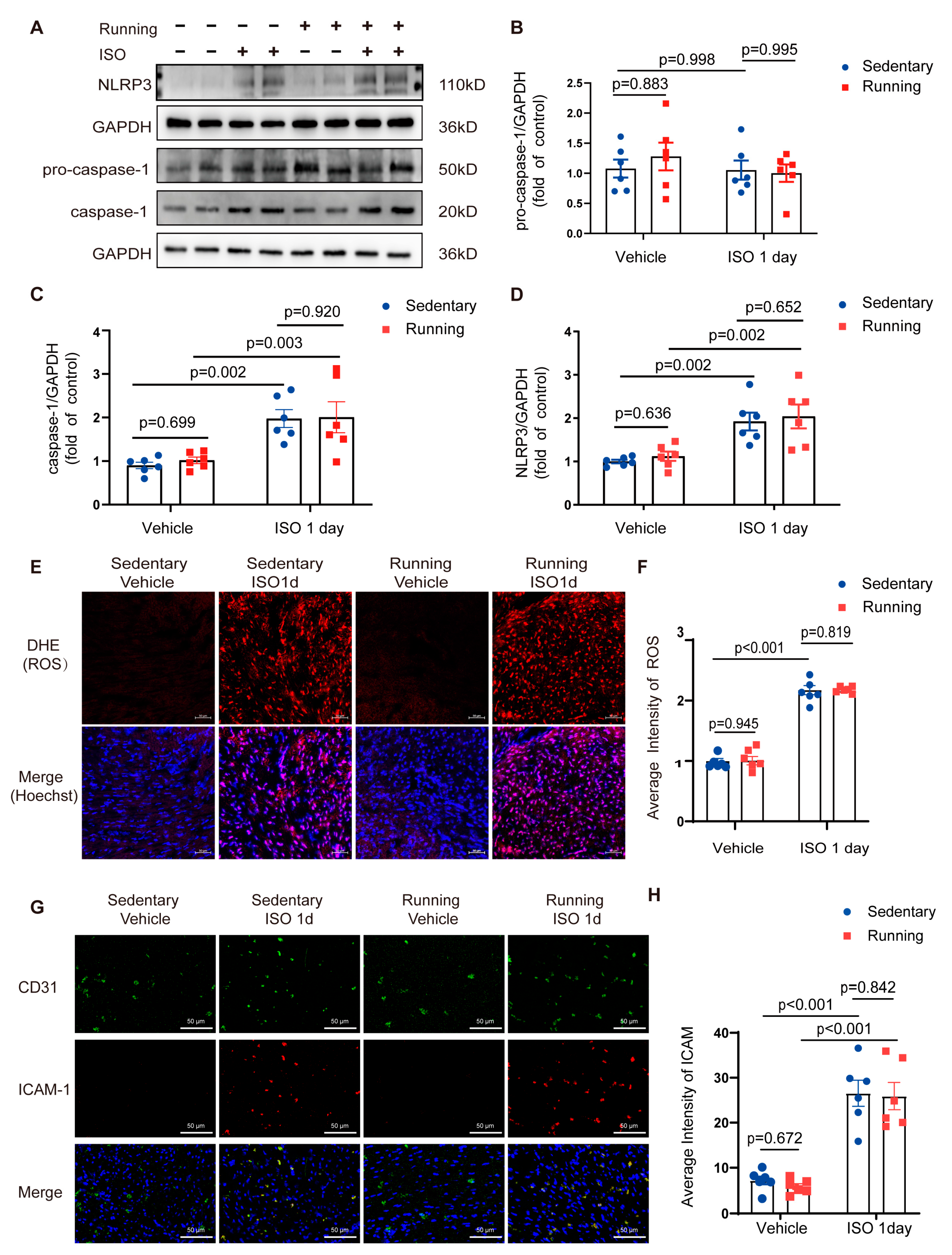 Ijms 24 09263 g005 Ijms 24 09263 g005