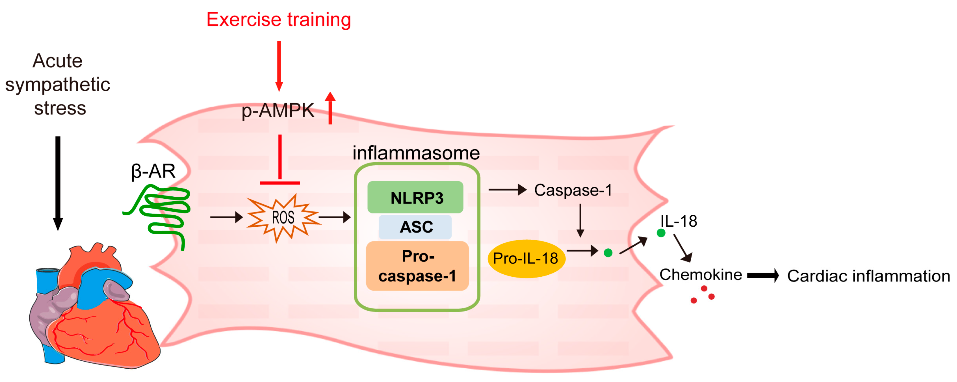 Ijms 24 09263 g006 Ijms 24 09263 g006