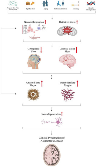Recent Mechanisms of Neurodegeneration and Photobiomodulation in