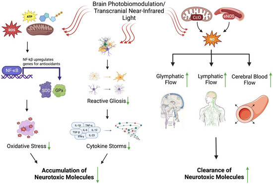 Recent Mechanisms of Neurodegeneration and