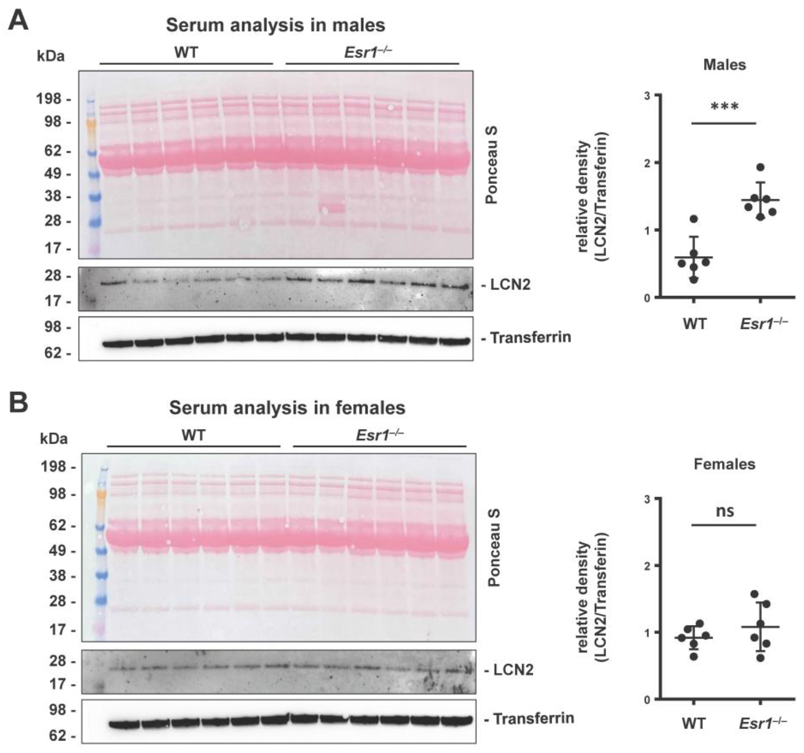 Ijms 24 09280 g002 Ijms 24 09280 g002