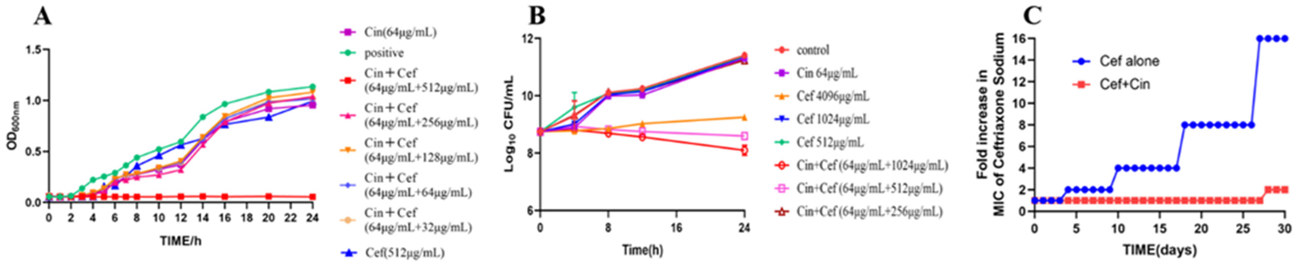 Ijms 24 09288 g002 Ijms 24 09288 g002