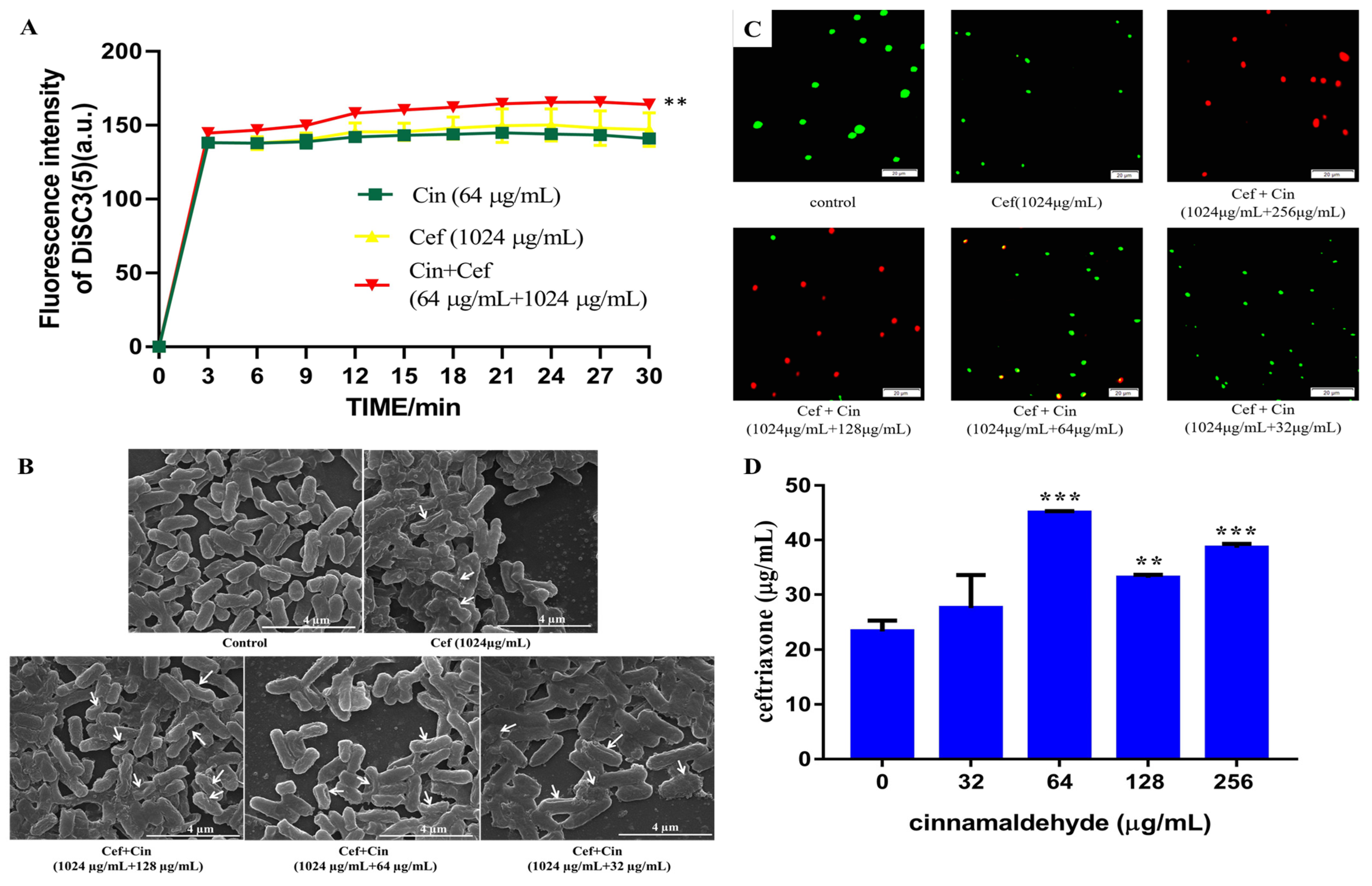 Ijms 24 09288 g003 Ijms 24 09288 g003
