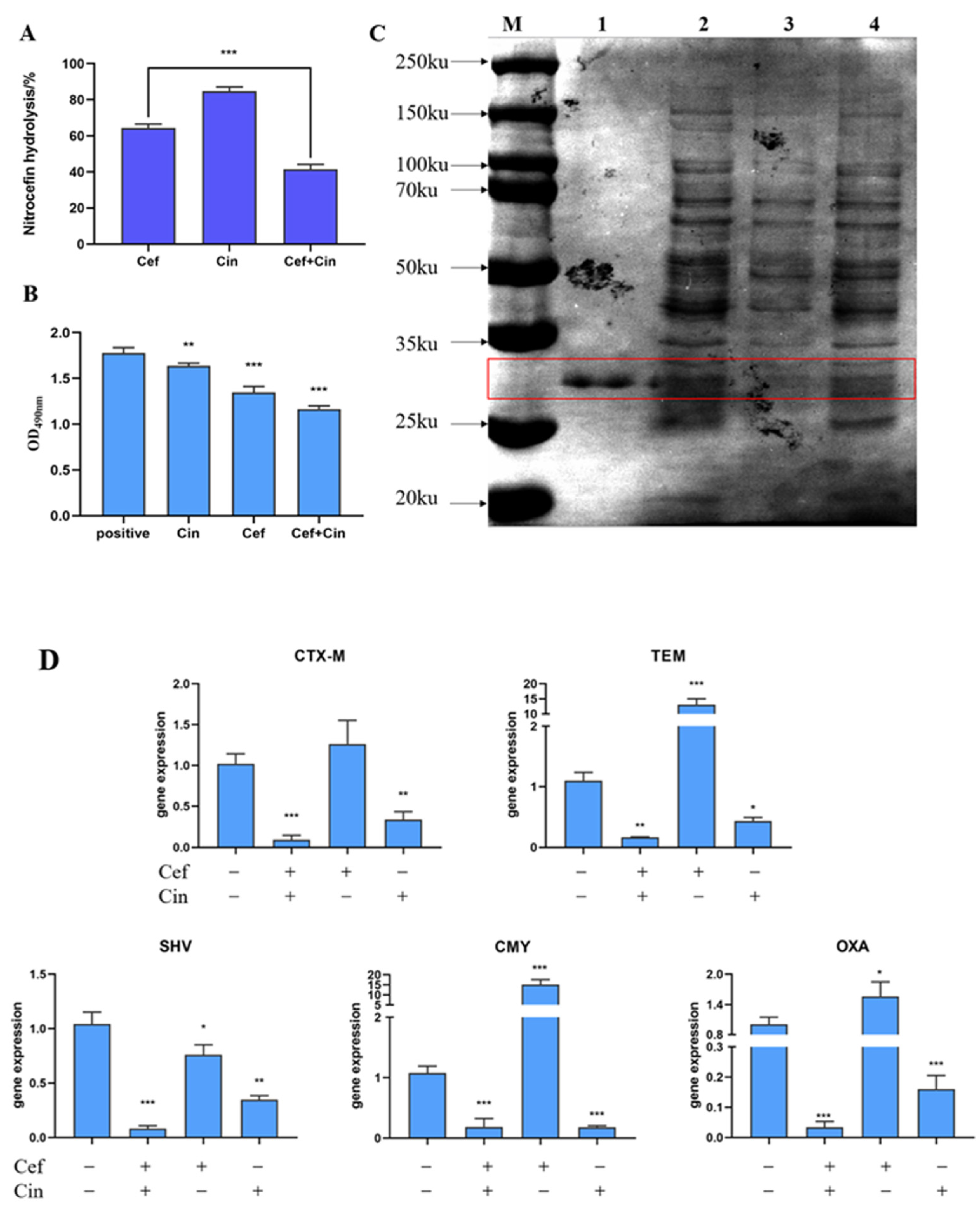 Ijms 24 09288 g004 Ijms 24 09288 g004