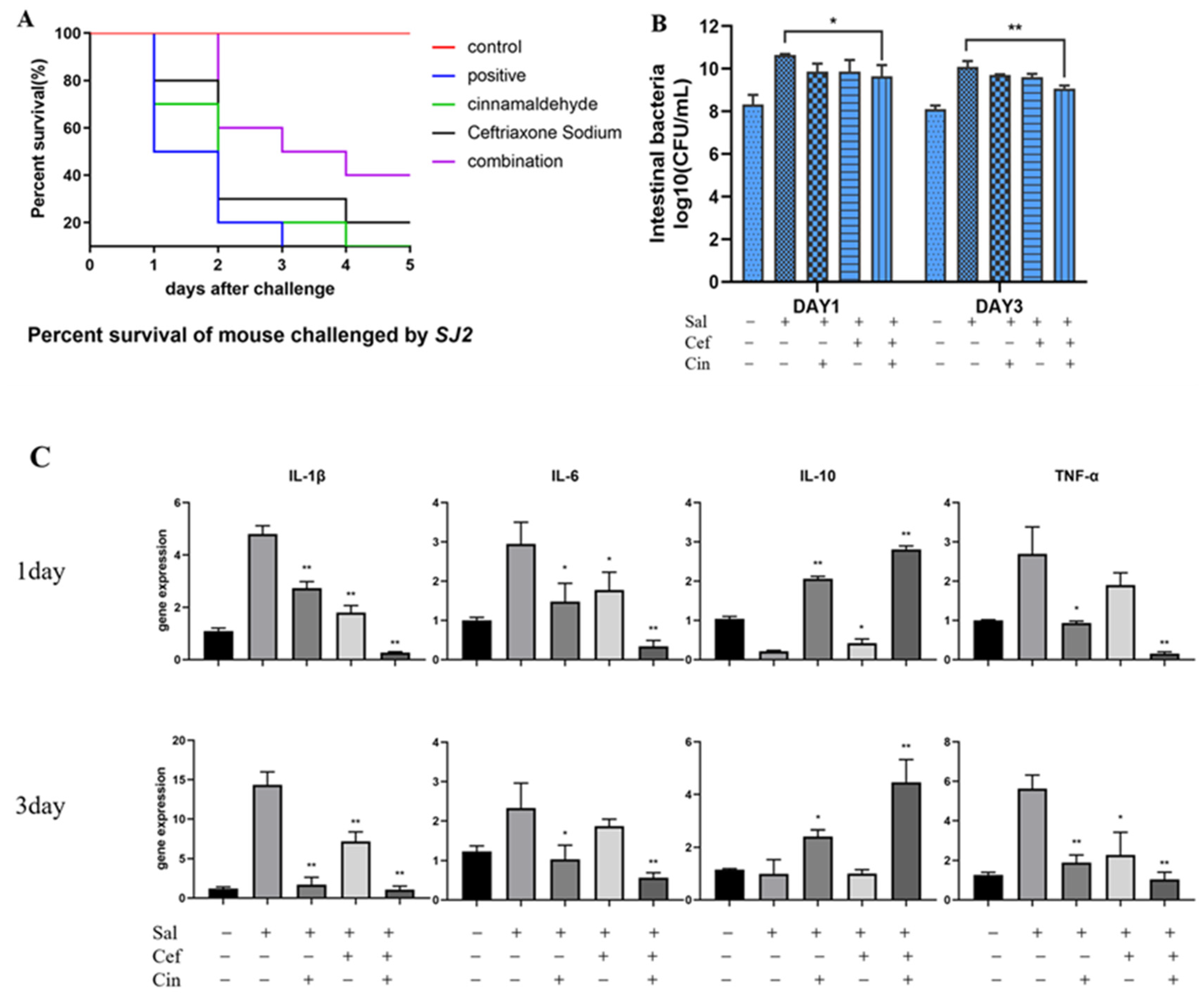 Ijms 24 09288 g006 Ijms 24 09288 g006