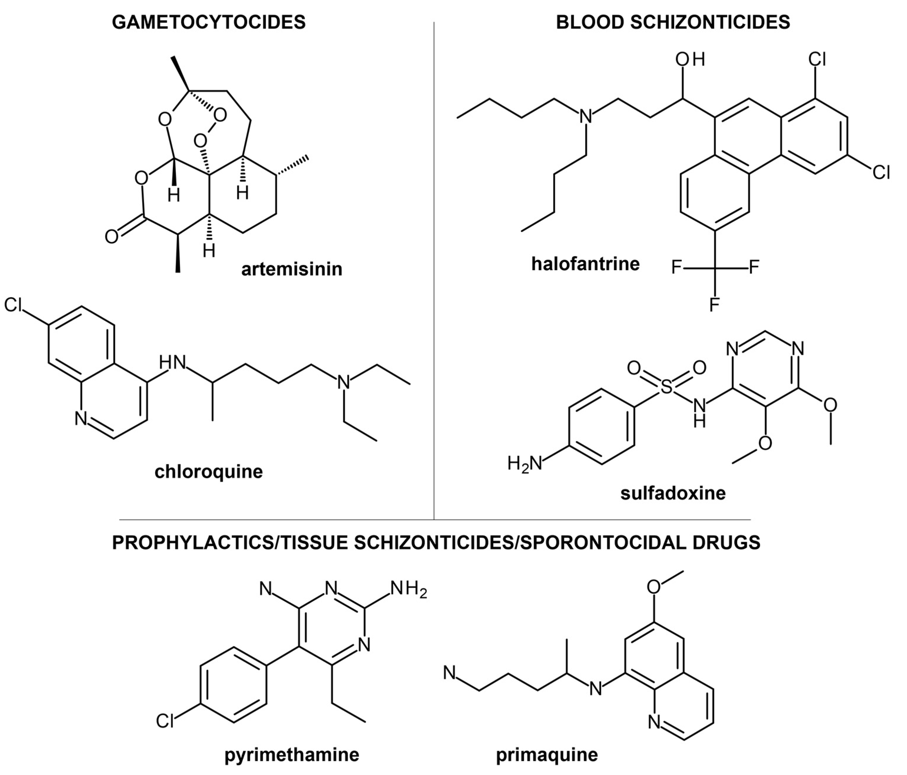 Ijms 24 09289 g001 Ijms 24 09289 g001
