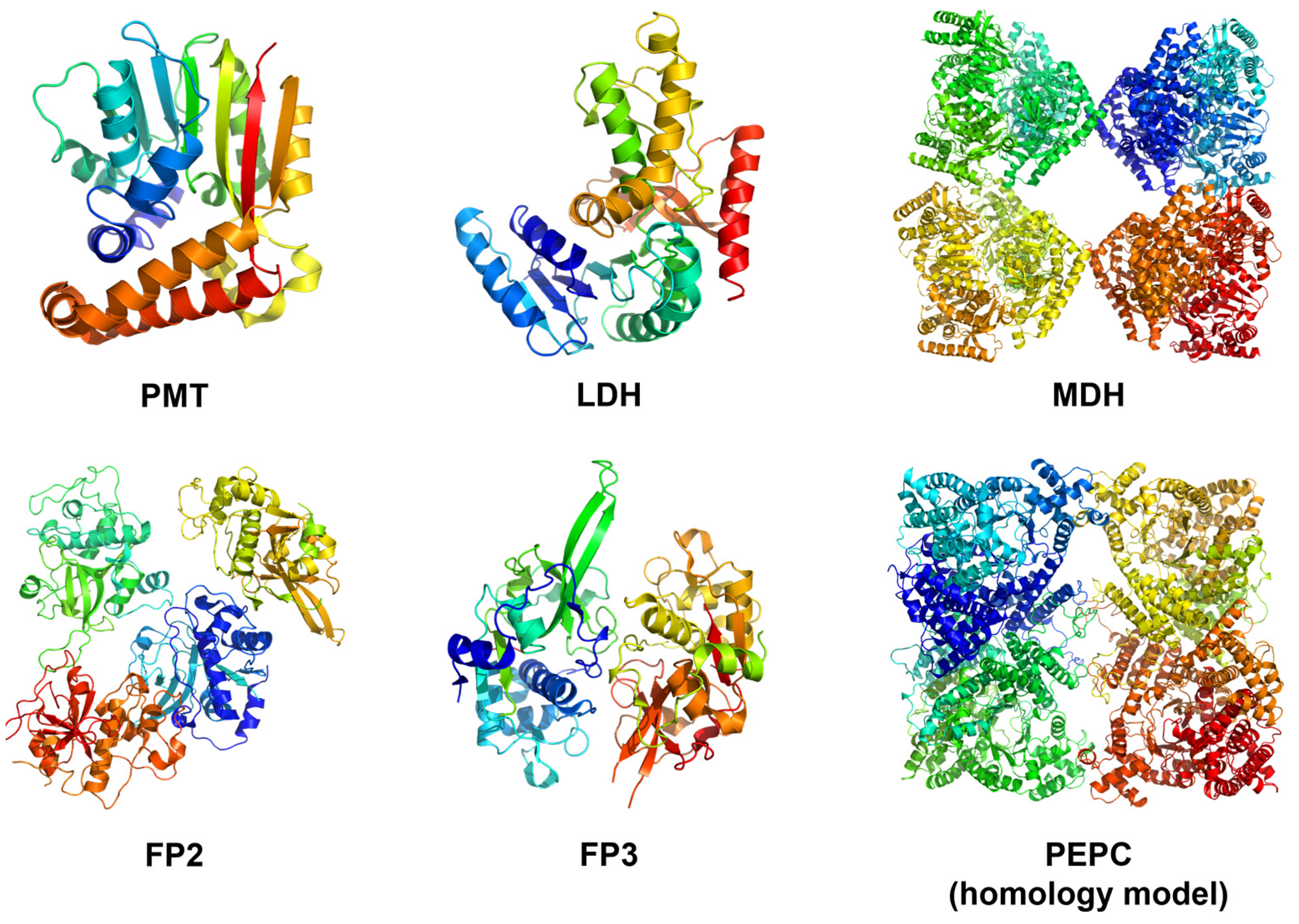 Ijms 24 09289 g004 Ijms 24 09289 g004