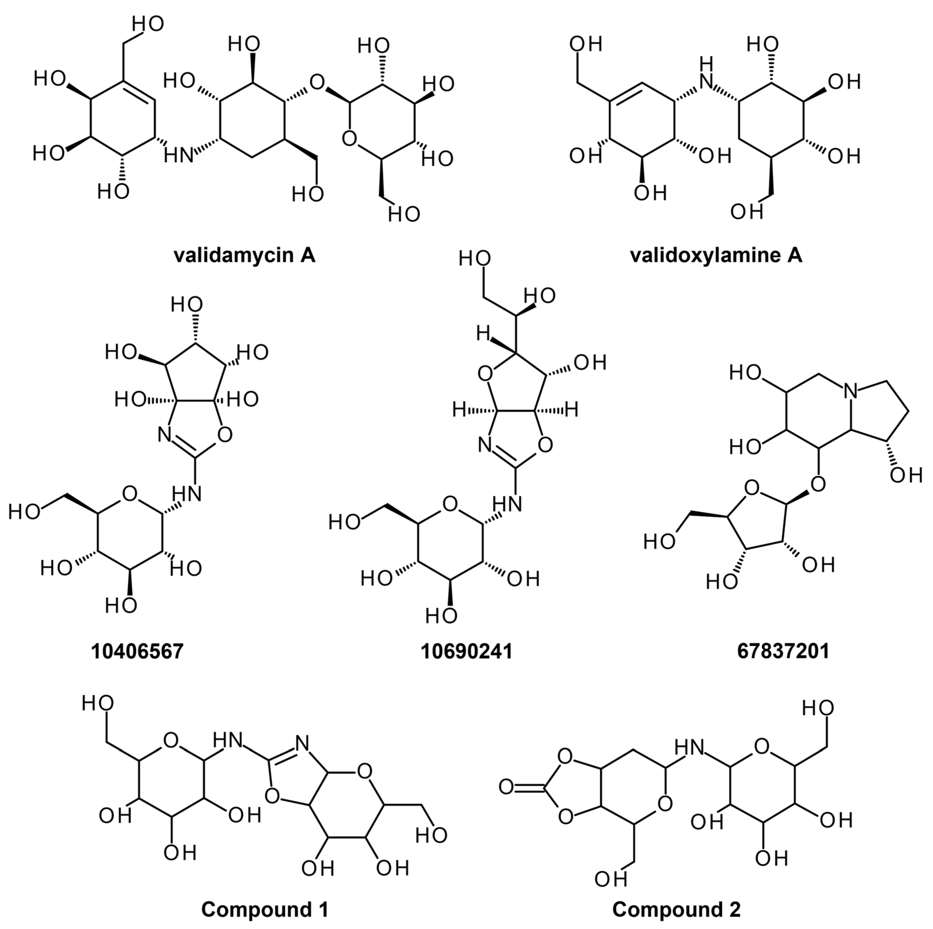 Ijms 24 09289 g006 Ijms 24 09289 g006