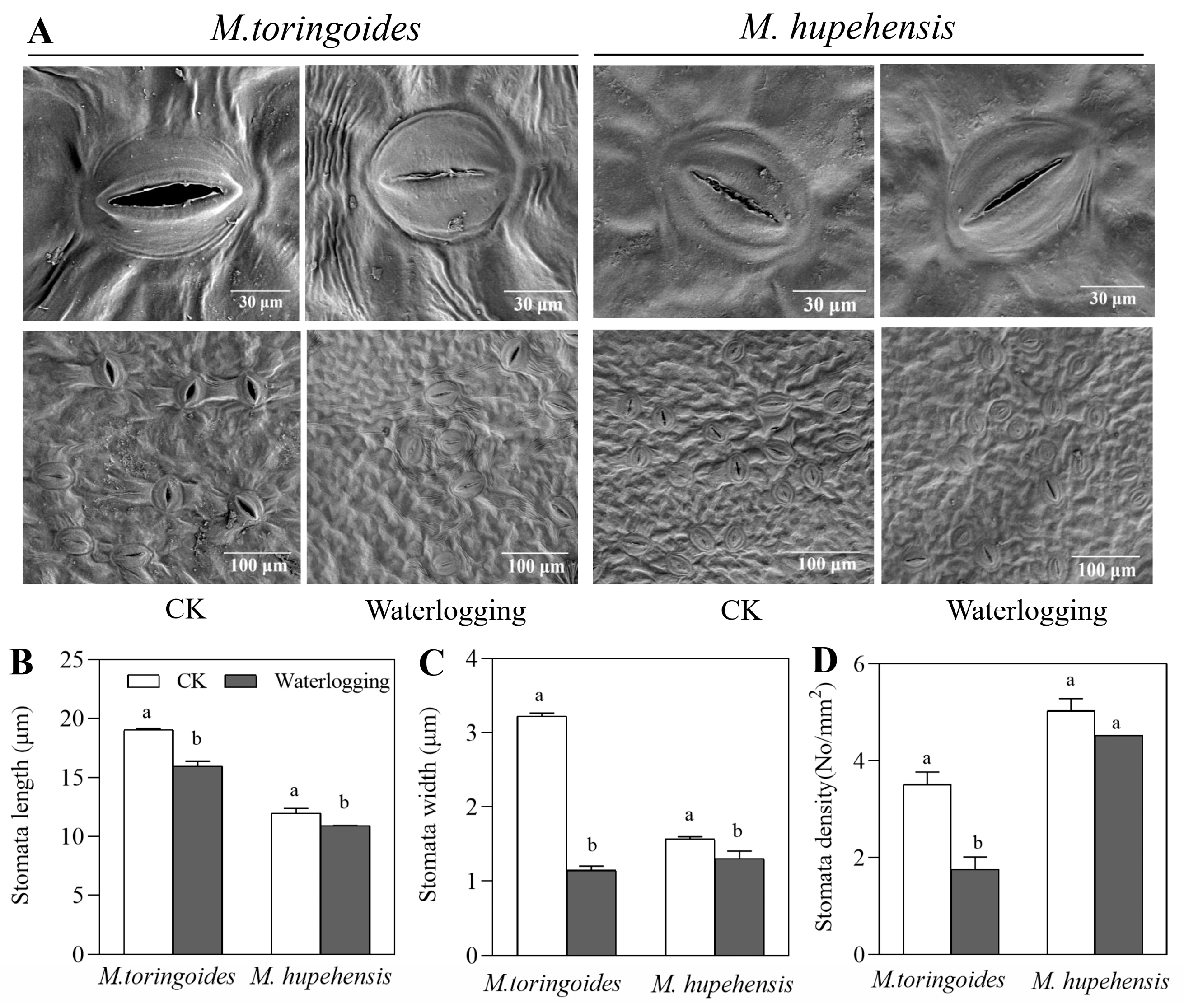 Ijms 24 09298 g004 Ijms 24 09298 g004