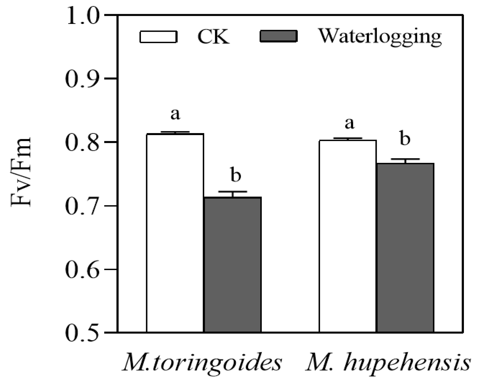 Ijms 24 09298 g005 Ijms 24 09298 g005