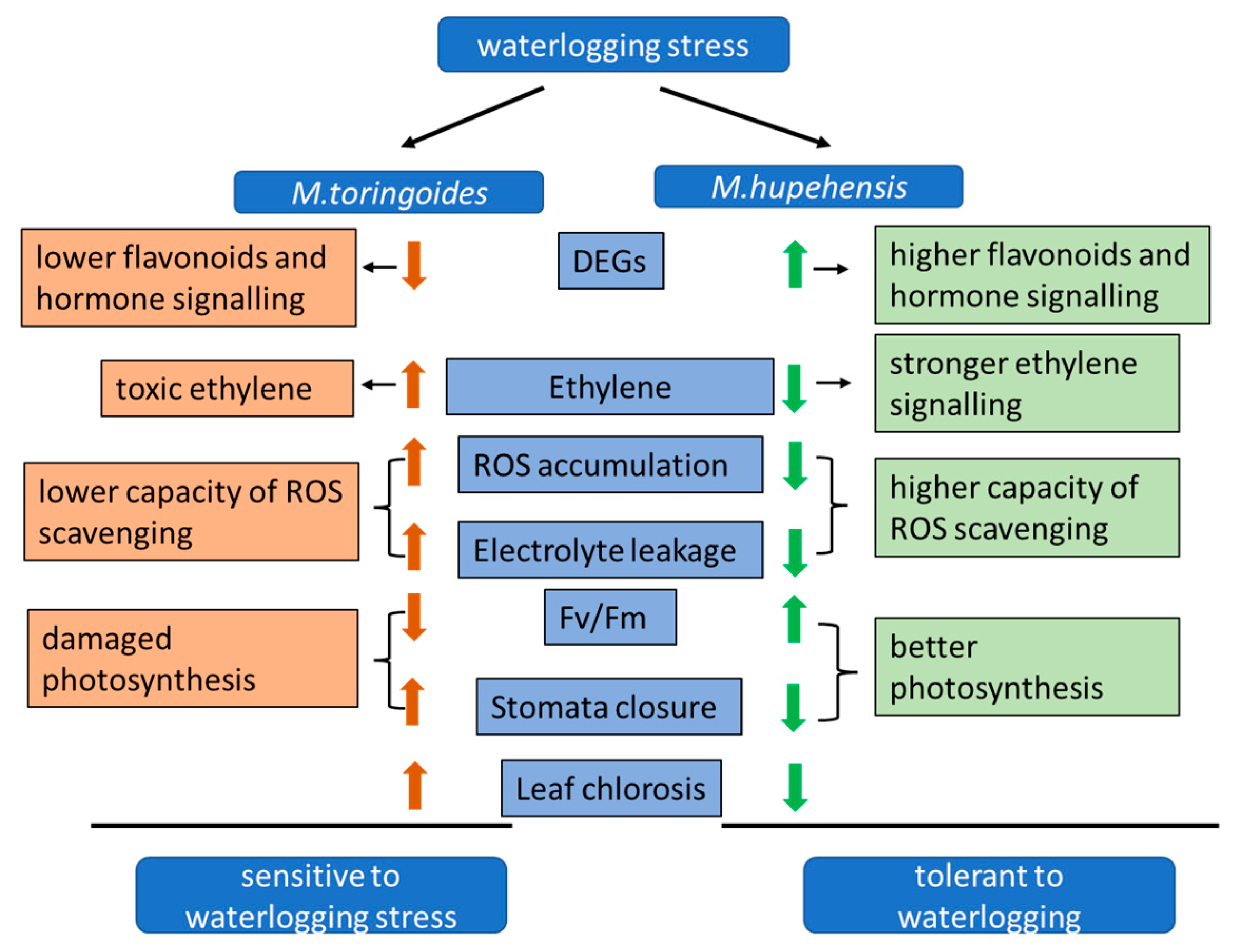 Ijms 24 09298 g012 Ijms 24 09298 g012
