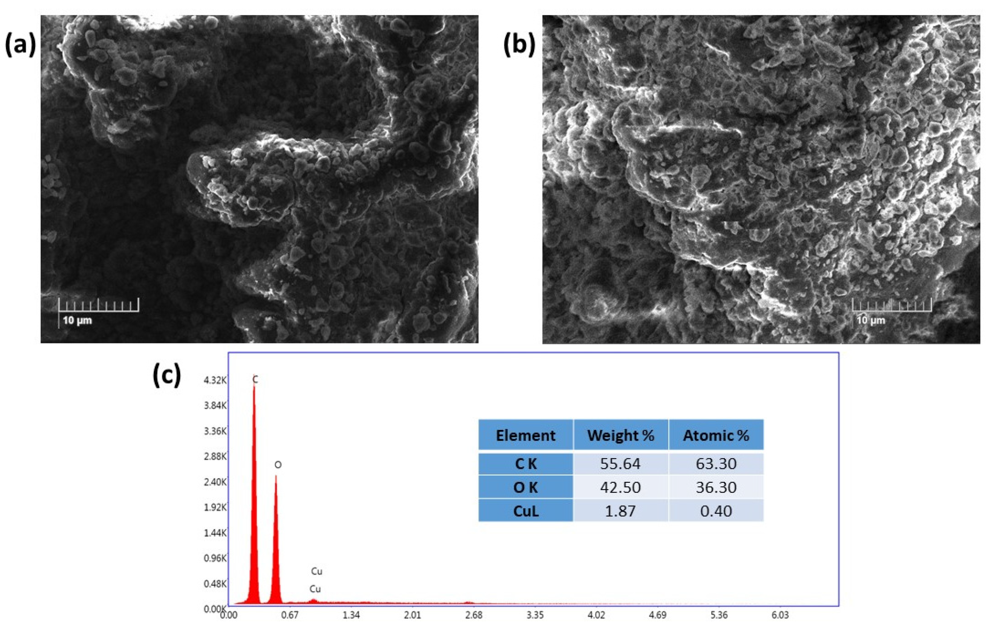 Ijms 24 09301 g002 Ijms 24 09301 g002