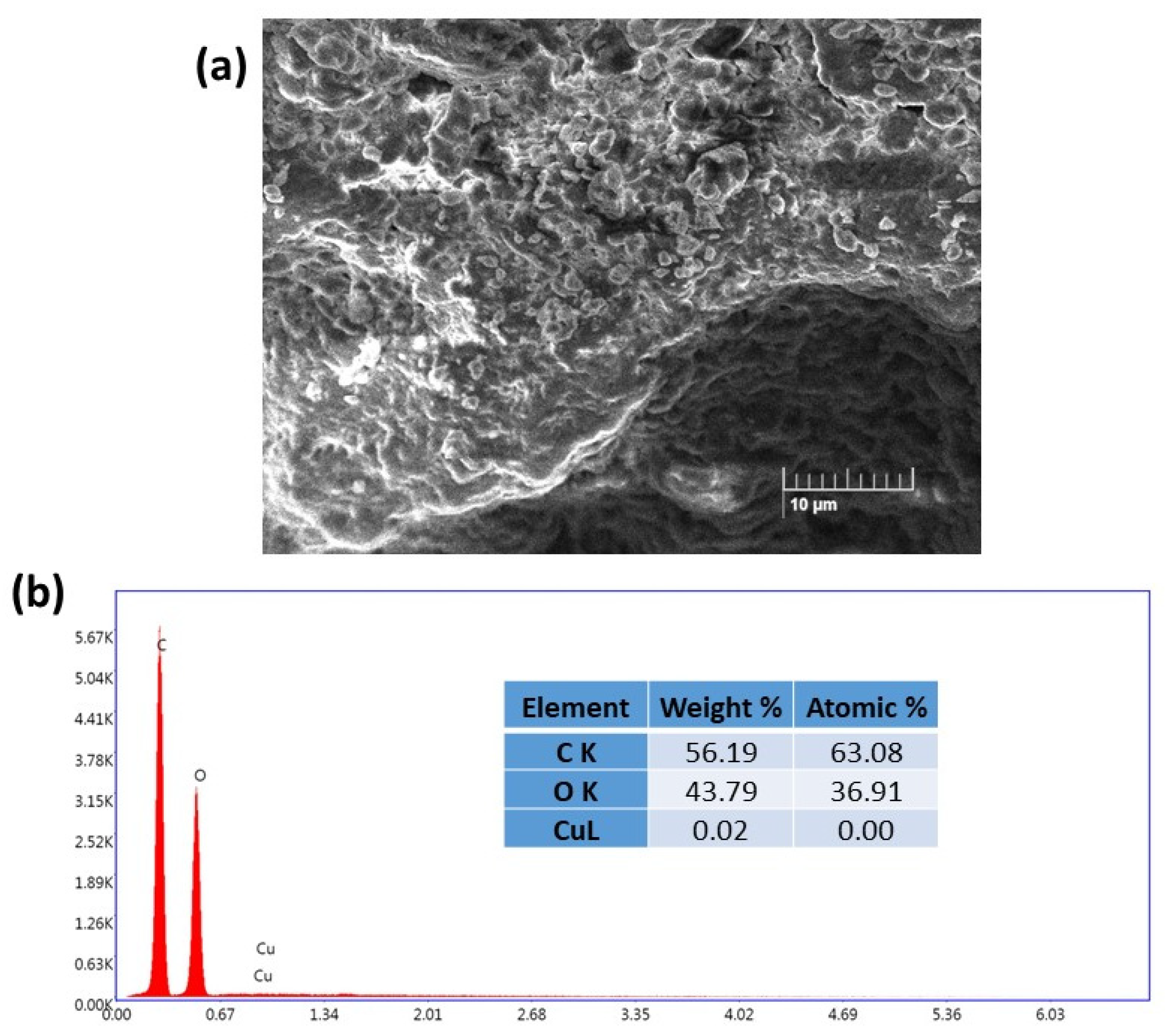 Ijms 24 09301 g004 Ijms 24 09301 g004