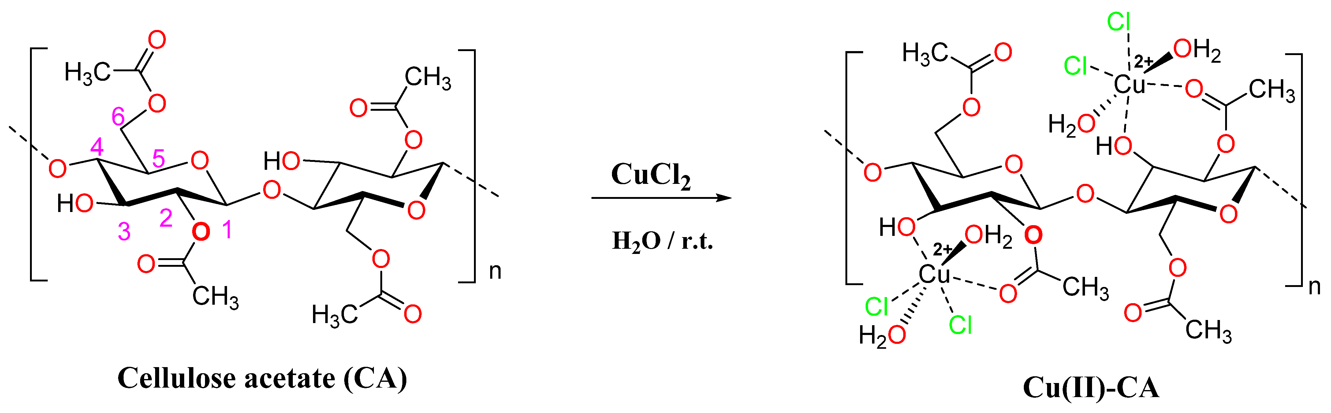 Ijms 24 09301 sch001 Ijms 24 09301 sch001