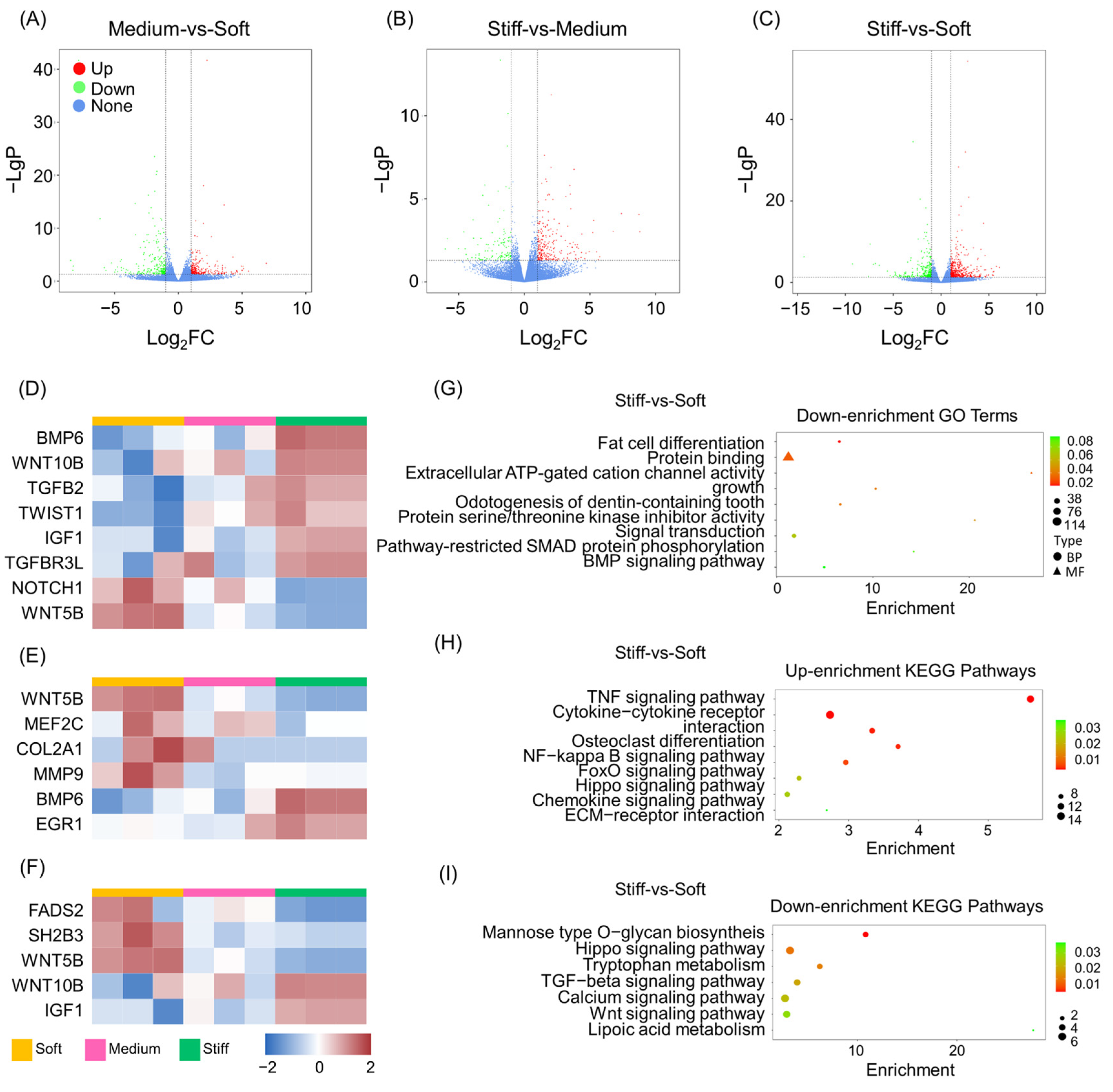 Ijms 24 09311 g002 Ijms 24 09311 g002