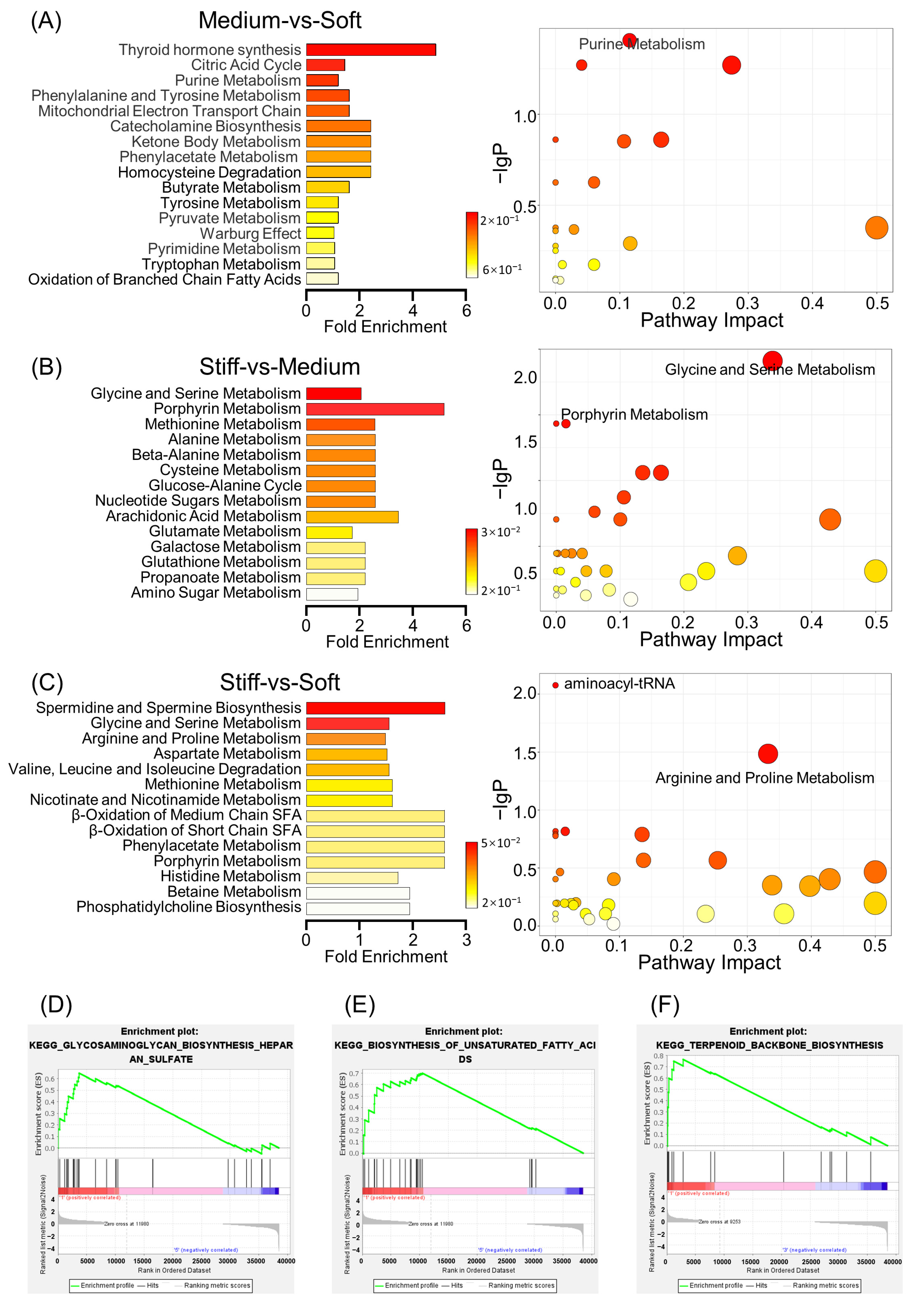 Ijms 24 09311 g004 Ijms 24 09311 g004