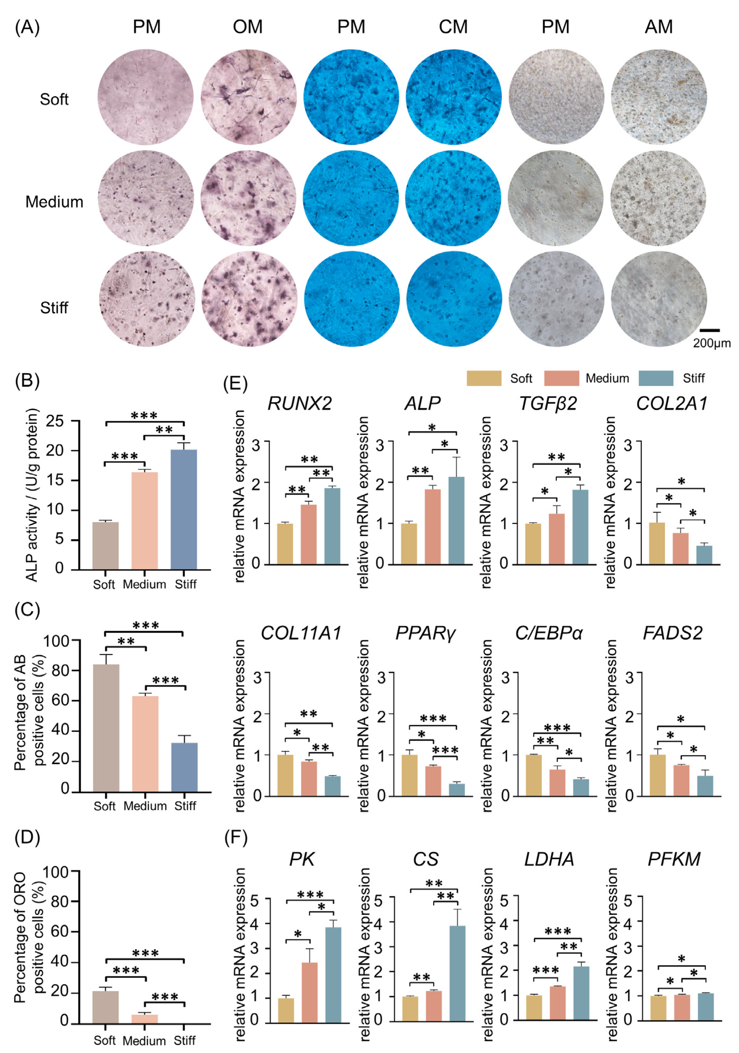 Ijms 24 09311 g005 Ijms 24 09311 g005