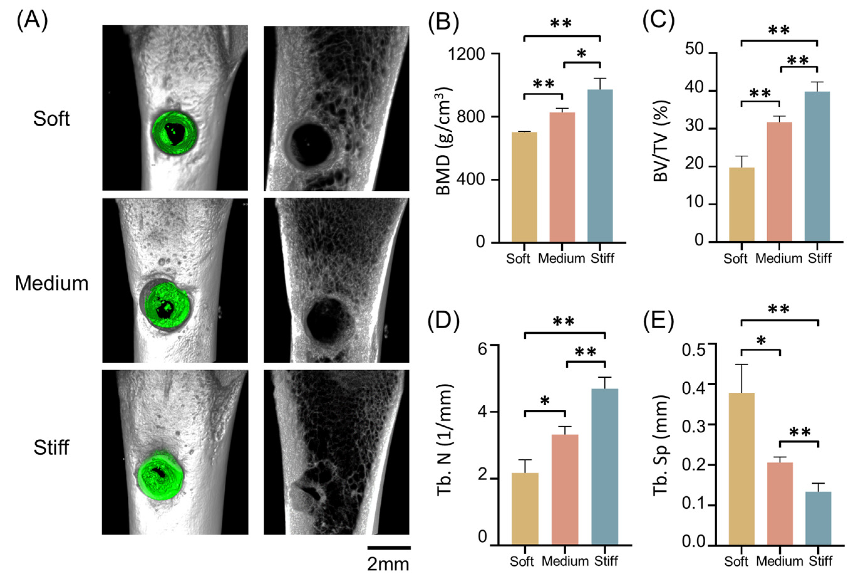 Ijms 24 09311 g006 Ijms 24 09311 g006