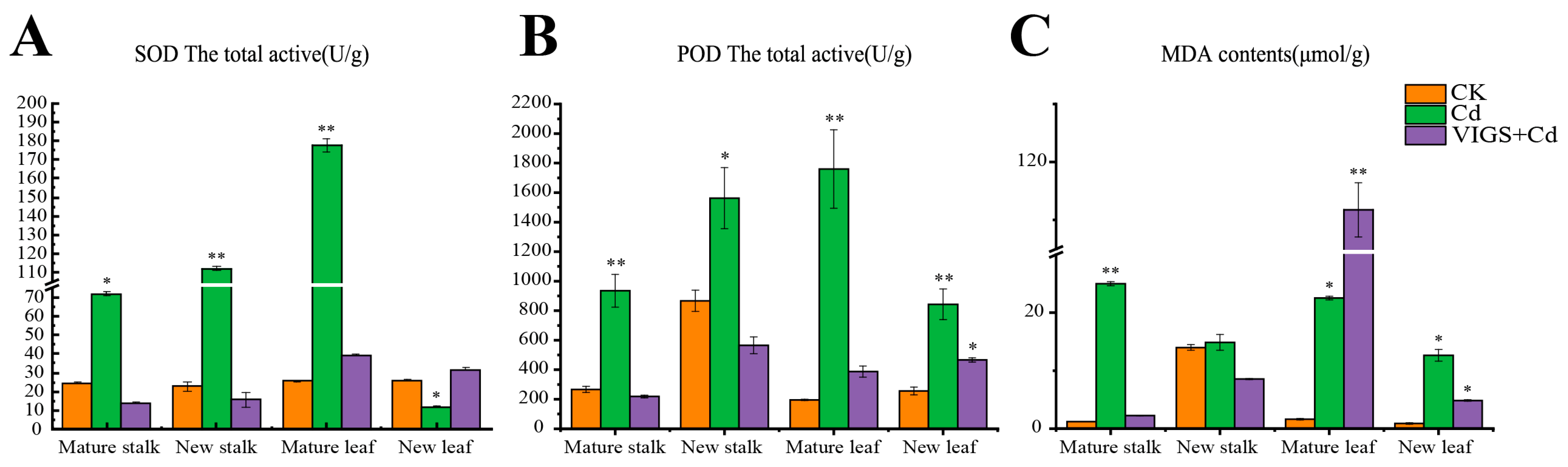 Ijms 24 09322 g006 Ijms 24 09322 g006