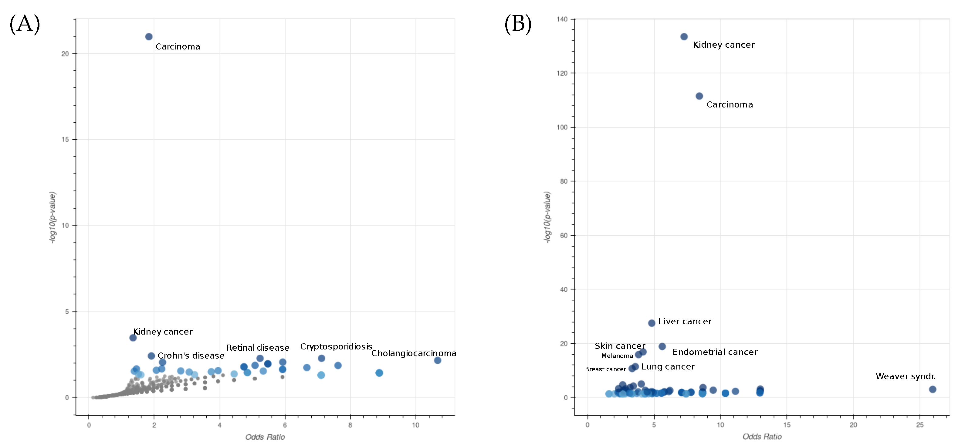 Ijms 24 09323 g001 Ijms 24 09323 g001