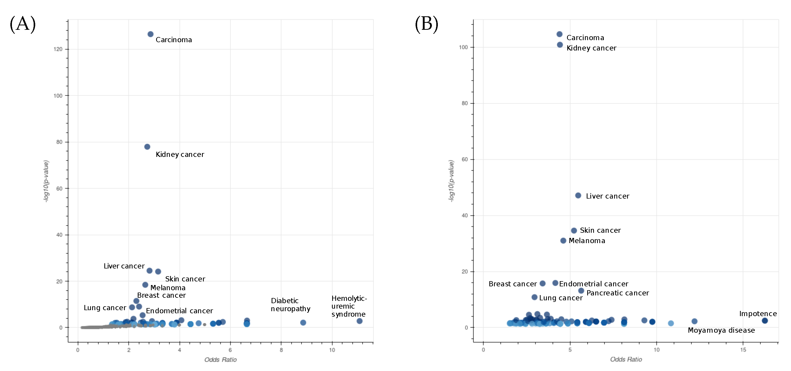 Ijms 24 09323 g004 Ijms 24 09323 g004