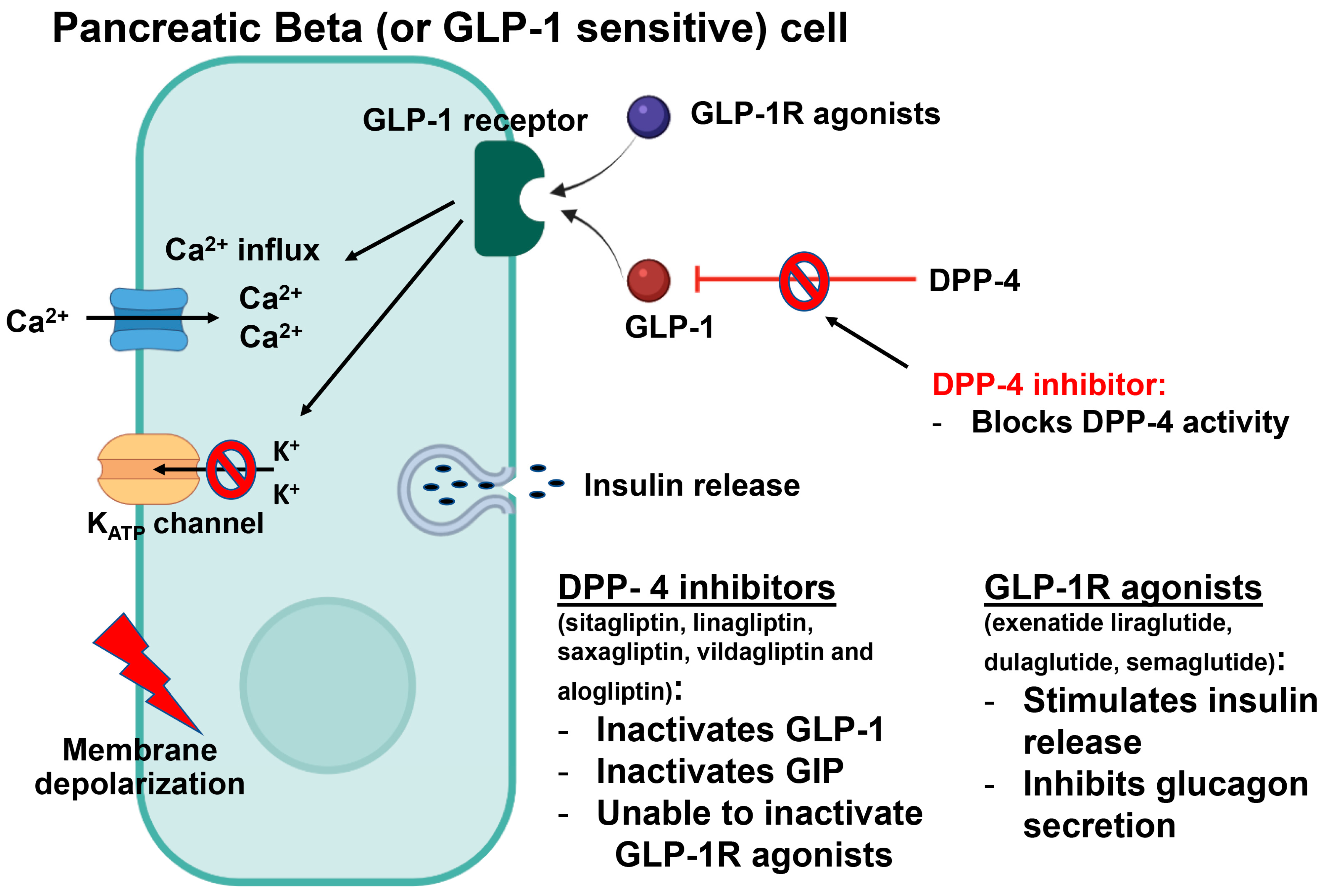 Ijms 24 09328 g009 Ijms 24 09328 g009