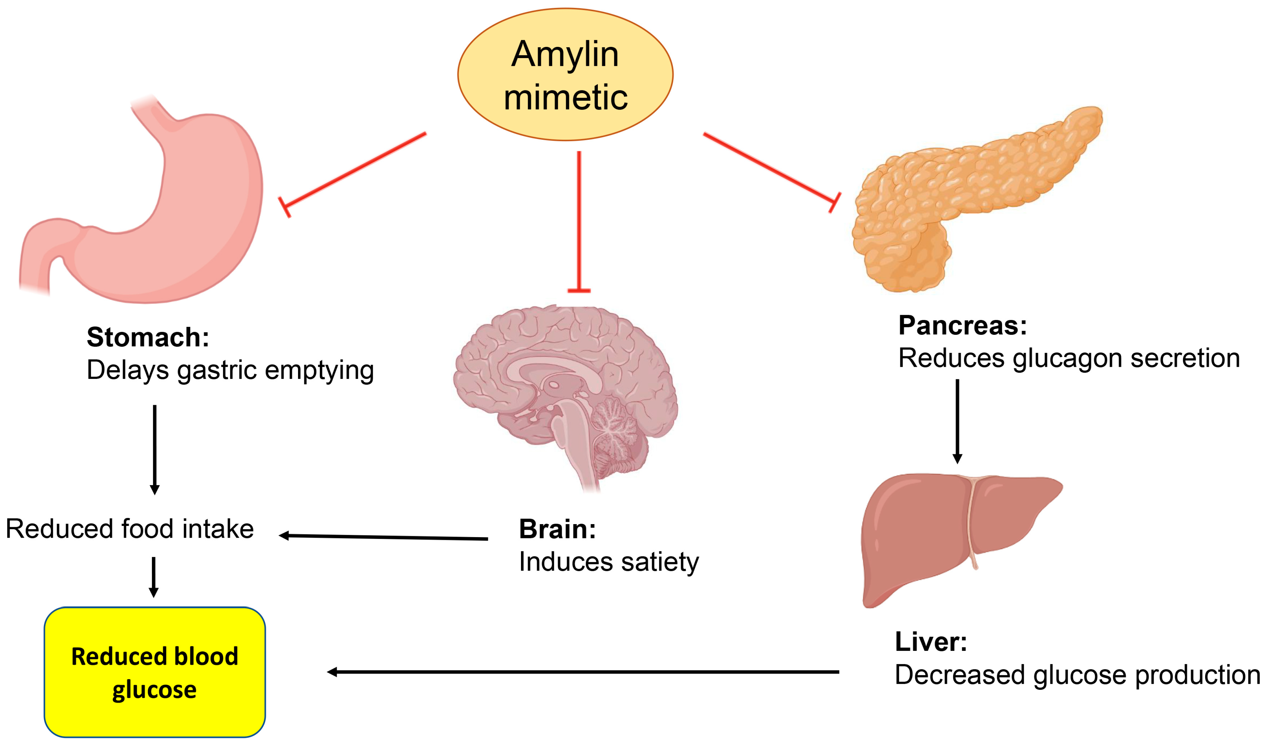 Ijms 24 09328 g010 Ijms 24 09328 g010