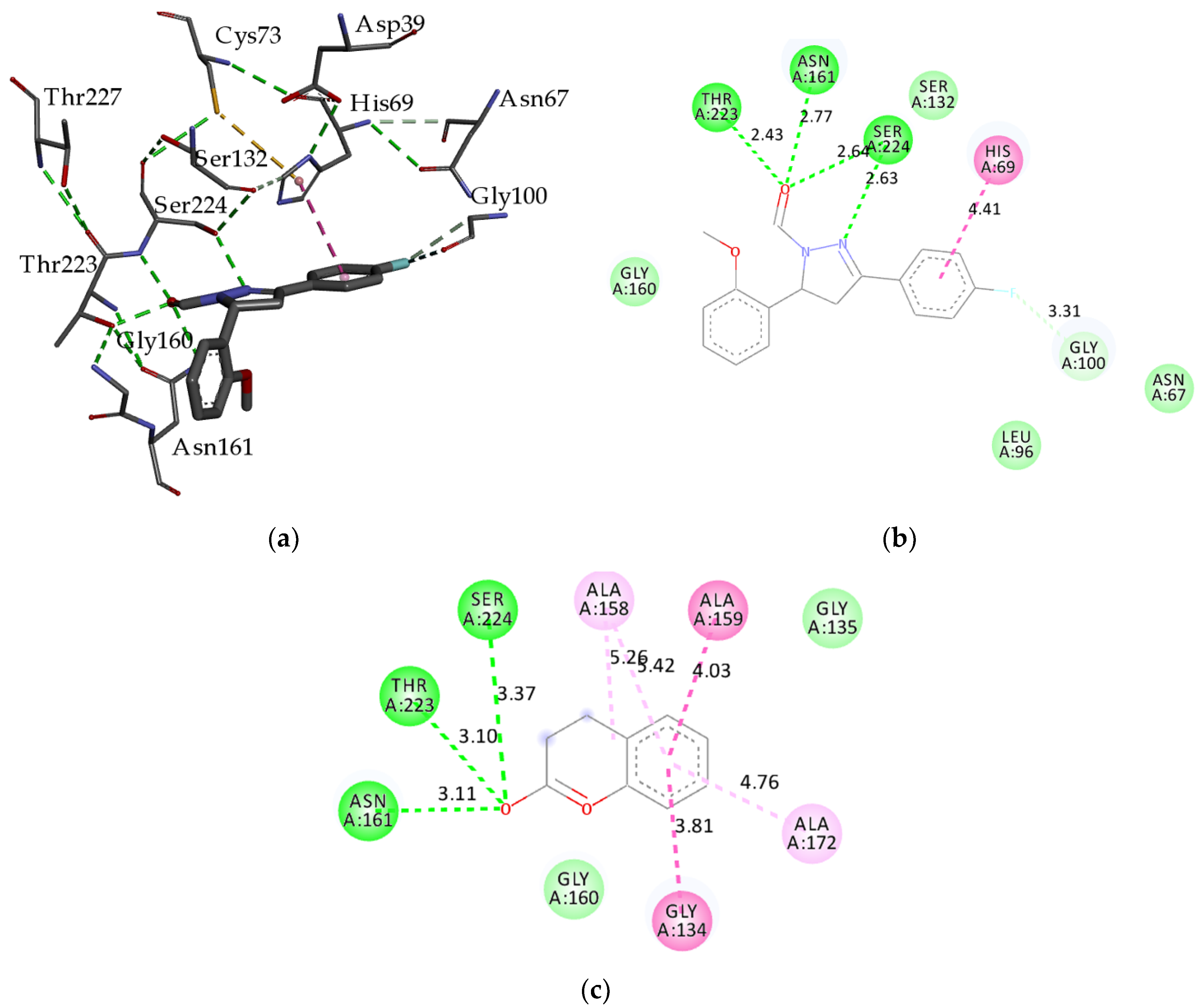 Ijms 24 09335 g002 Ijms 24 09335 g002